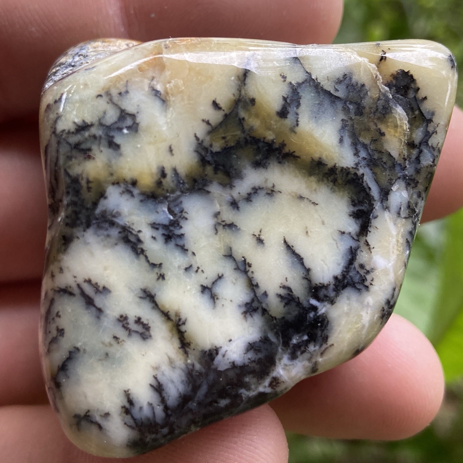 Polished Dendritic Opal Natural Stone 2.80 Oz Polished Dendritic Opal Natural Stone 2.80 Oz