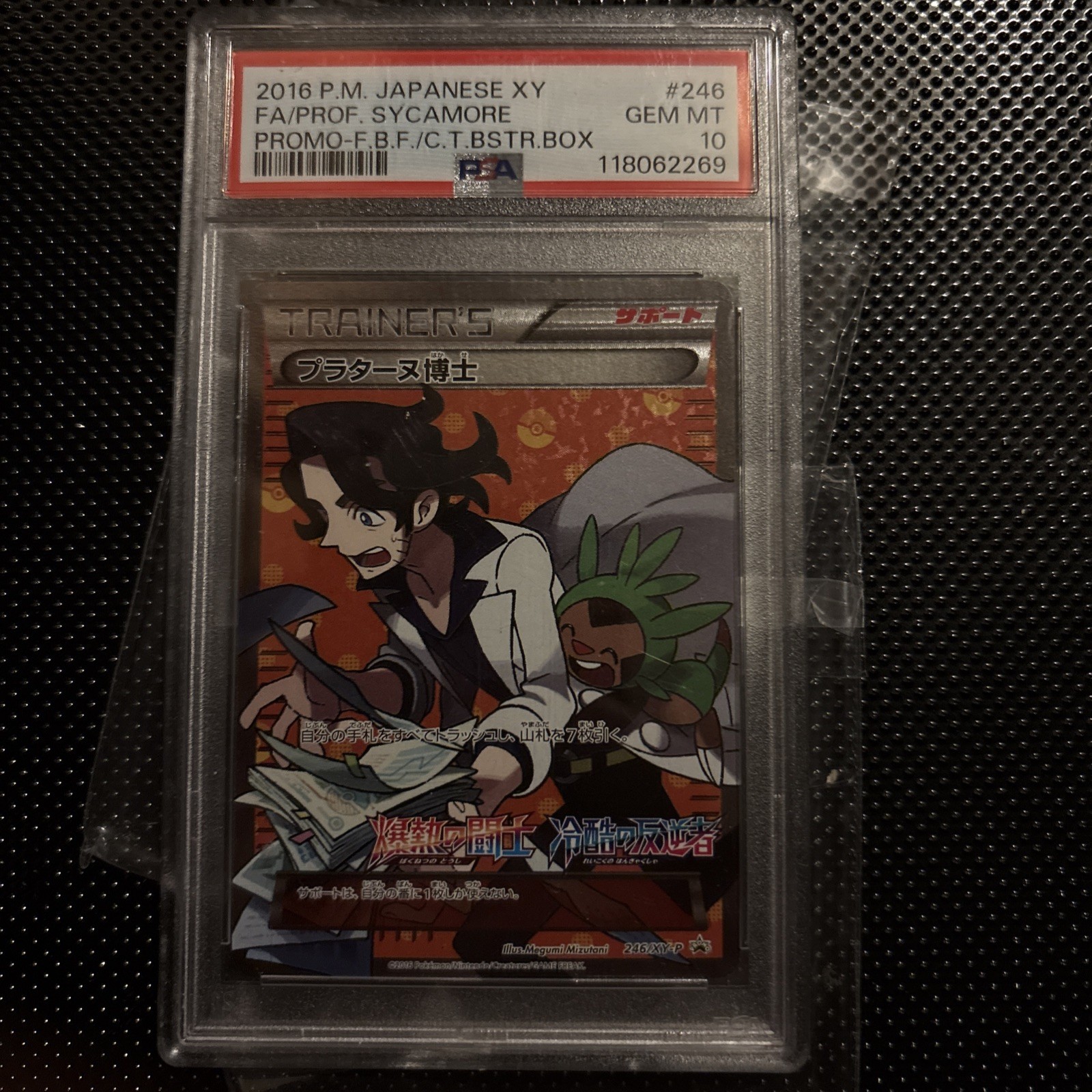 PSA 10 Pokemon Japanese Full Art 2016 XY SYCAMOR PROMO 246/XY-P PSA 10 Pokemon Japanese Full Art 2016 XY SYCAMOR PROMO 246/XY-P