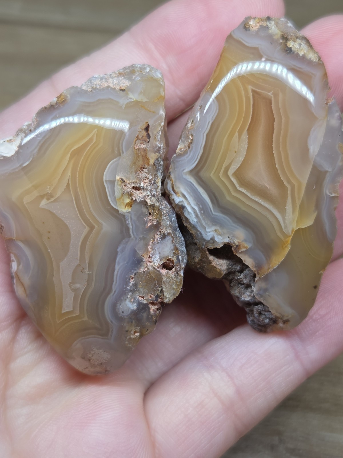 Picacho agate Pair from Mexico- Polished Halves