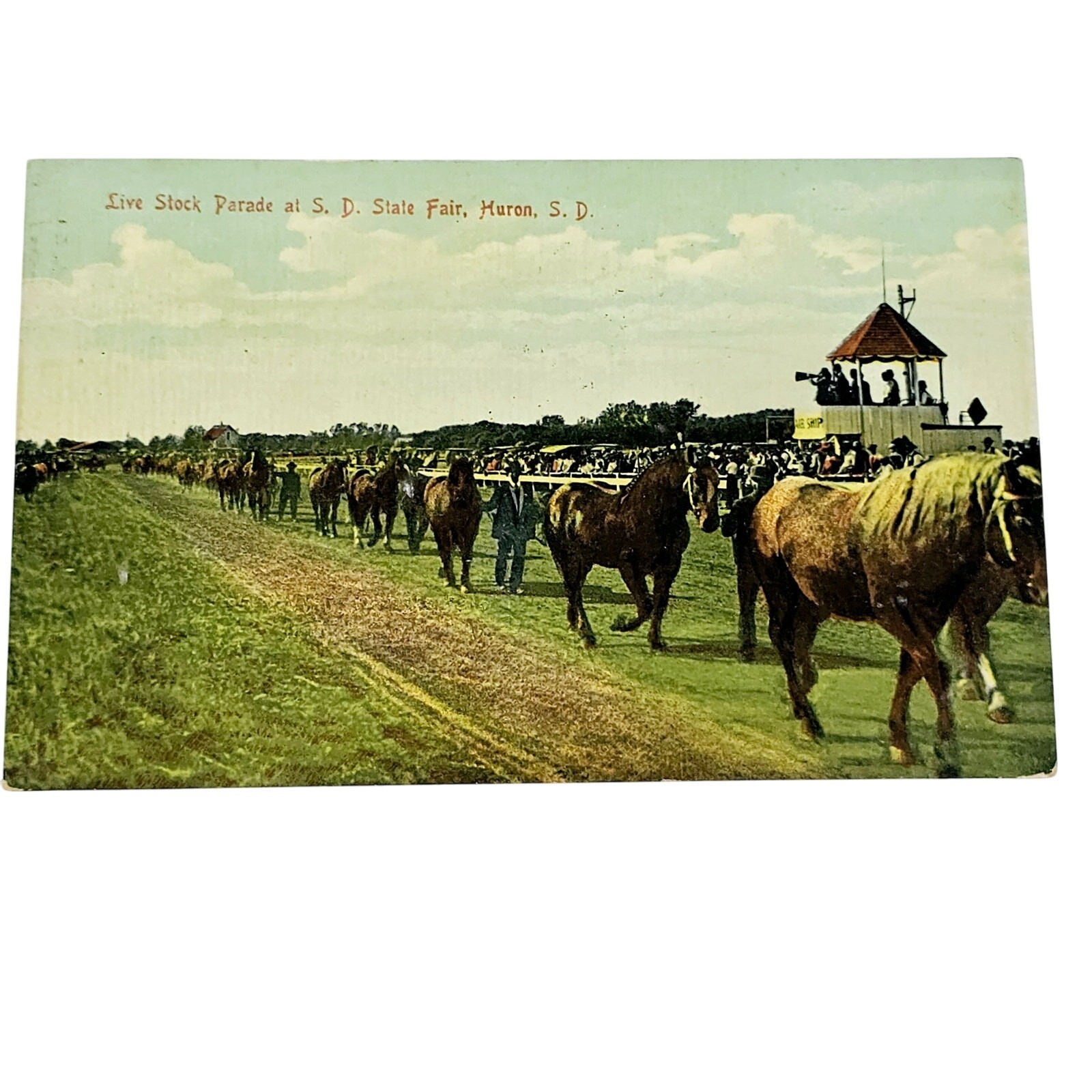 1909 Antique Postcard Live Stock Parade at South Dakota State Fair Huron SD 1909 Antique Postcard Live Stock Parade at South Dakota State Fair Huron SD