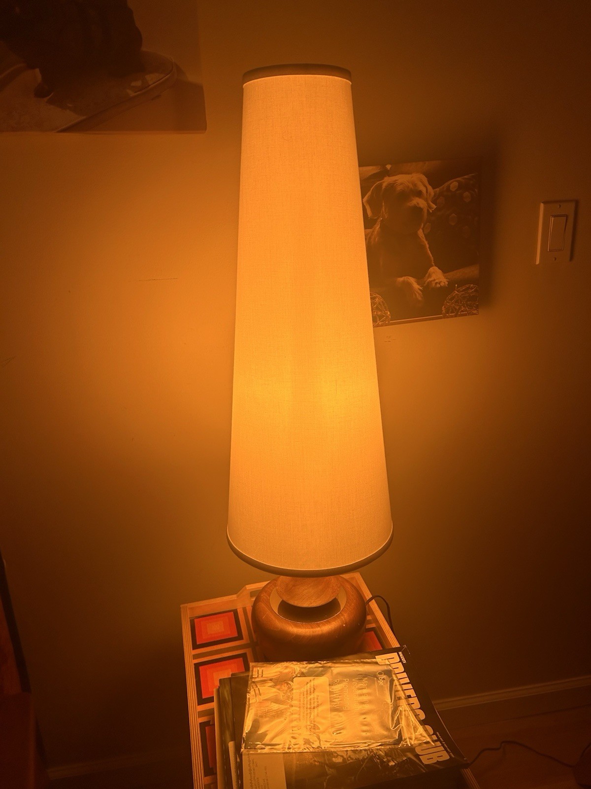 Arthur Jacobs Modeline 1695 Lamp 1963 California MCM Korina Brass Modeliter Arthur Jacobs Modeline 1695 Lamp 1963 California MCM Korina Brass Modeliter