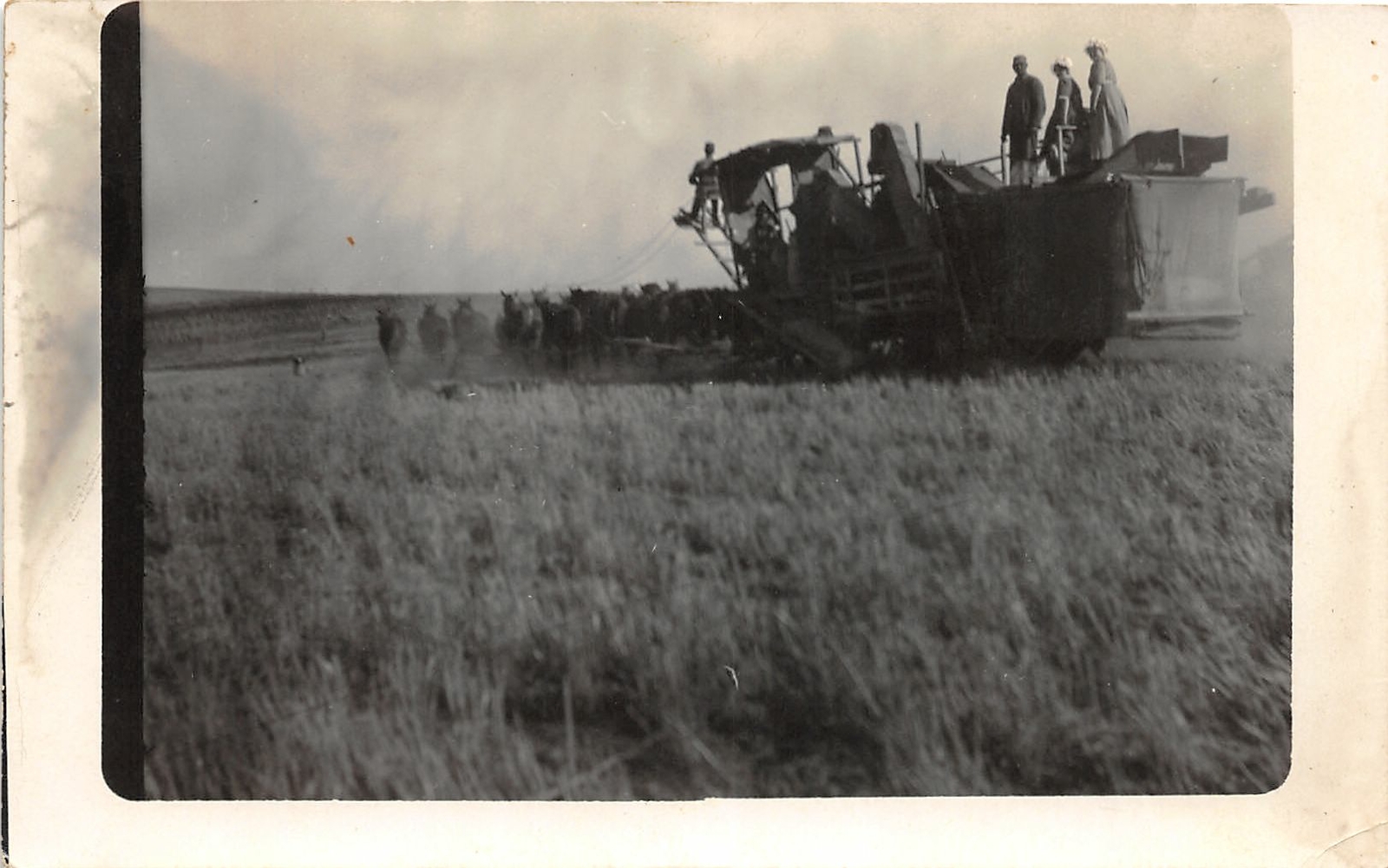 F42/ Occupational RPPC Postcard c1910 Farming Scene Combine 1 F42/ Occupational RPPC Postcard c1910 Farming Scene Combine 1