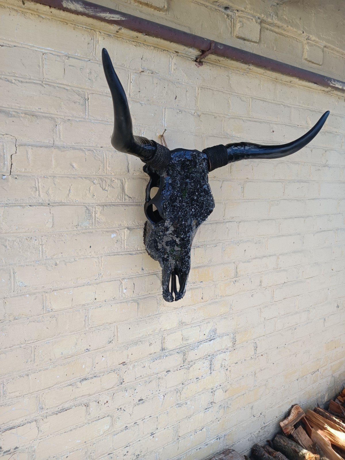 Real bull skull. Wall decor. Cow skull. Real bull skull. Wall decor. Cow skull.