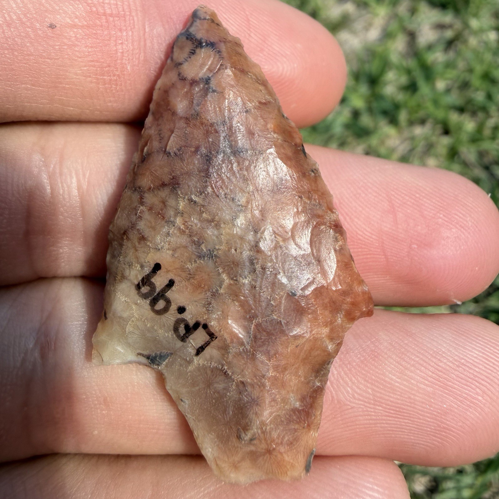 KILLER CORRAL ARROWHEAD FLORIDA G10 Red Brown KILLER CORRAL ARROWHEAD FLORIDA G10 Red Brown