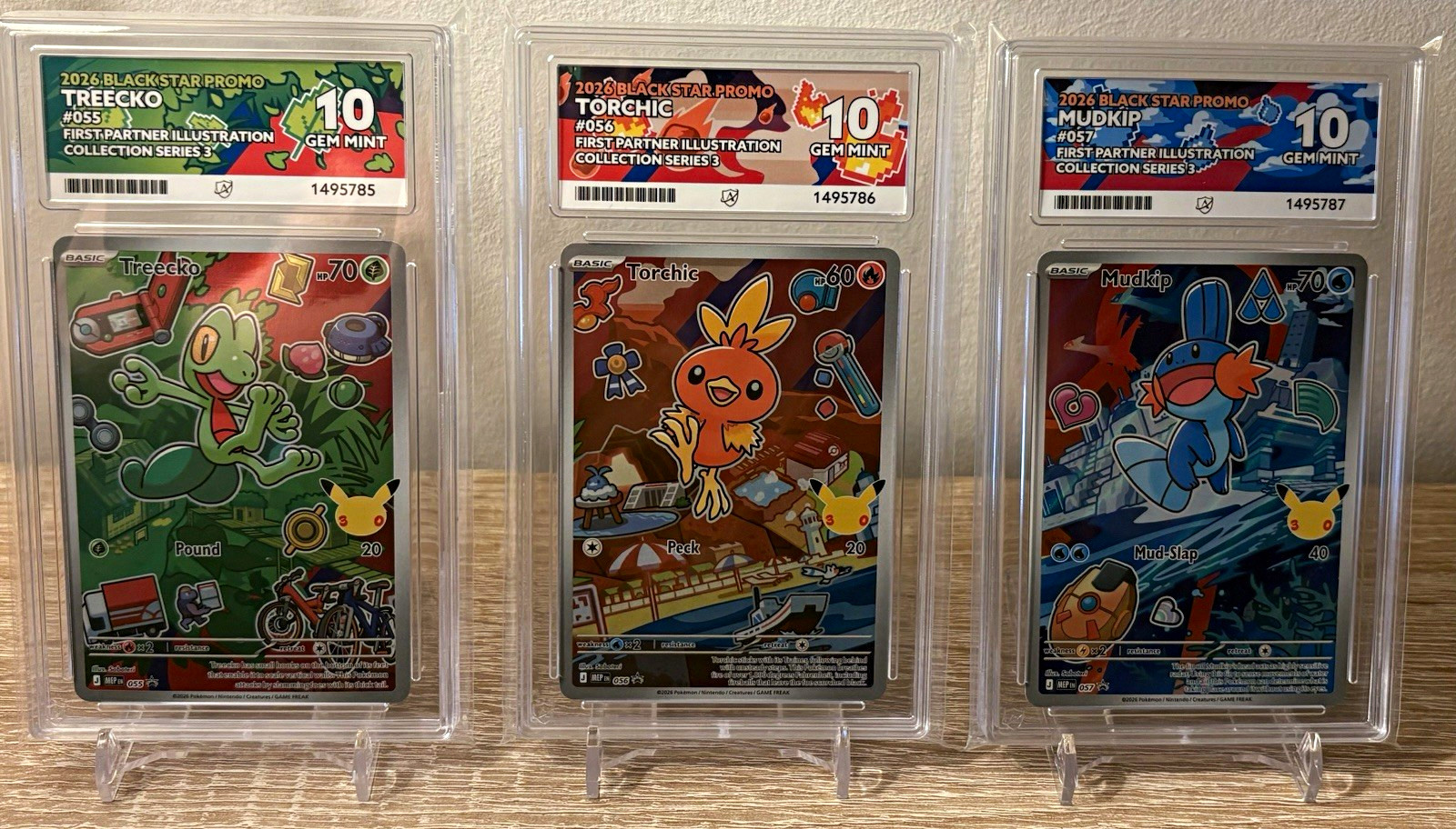 Pokemon Treecko Torchic Mudkip 055 056 057 First Partner ACE 10 GEM MINT Pokemon Treecko Torchic Mudkip 055 056 057 First Partner ACE 10 GEM MINT