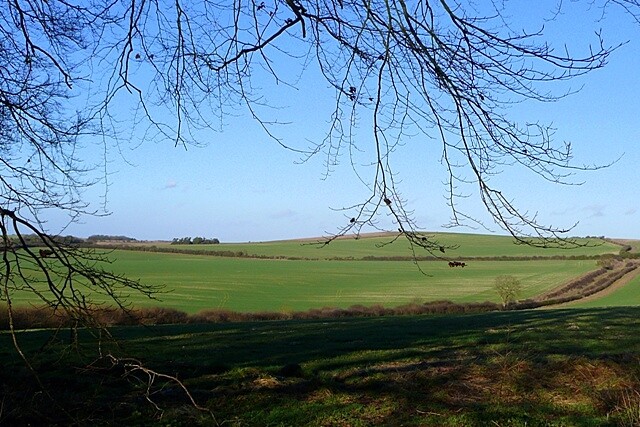 Photo 6x4 Countryside north of Crows Foot Compton\/SU5280 Taken from the c2009 Photo 6x4 Countryside north of Crows Foot Compton\/SU5280 Taken from the c2009