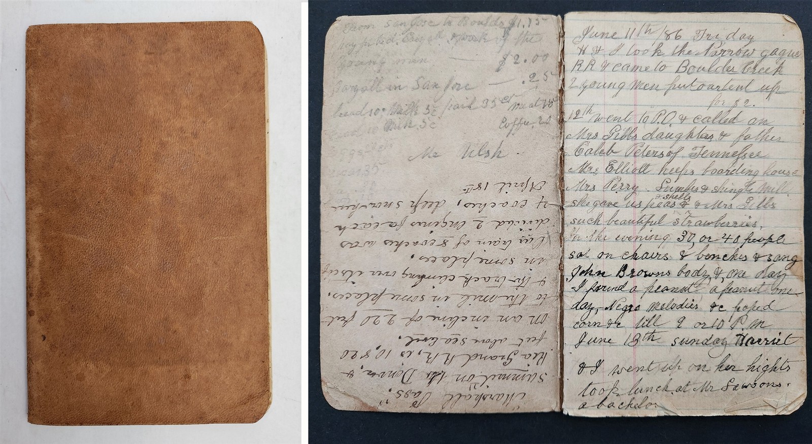 1886 antique TRAVEL JOURNAL oswego ny to san francisco & denver railroad diary