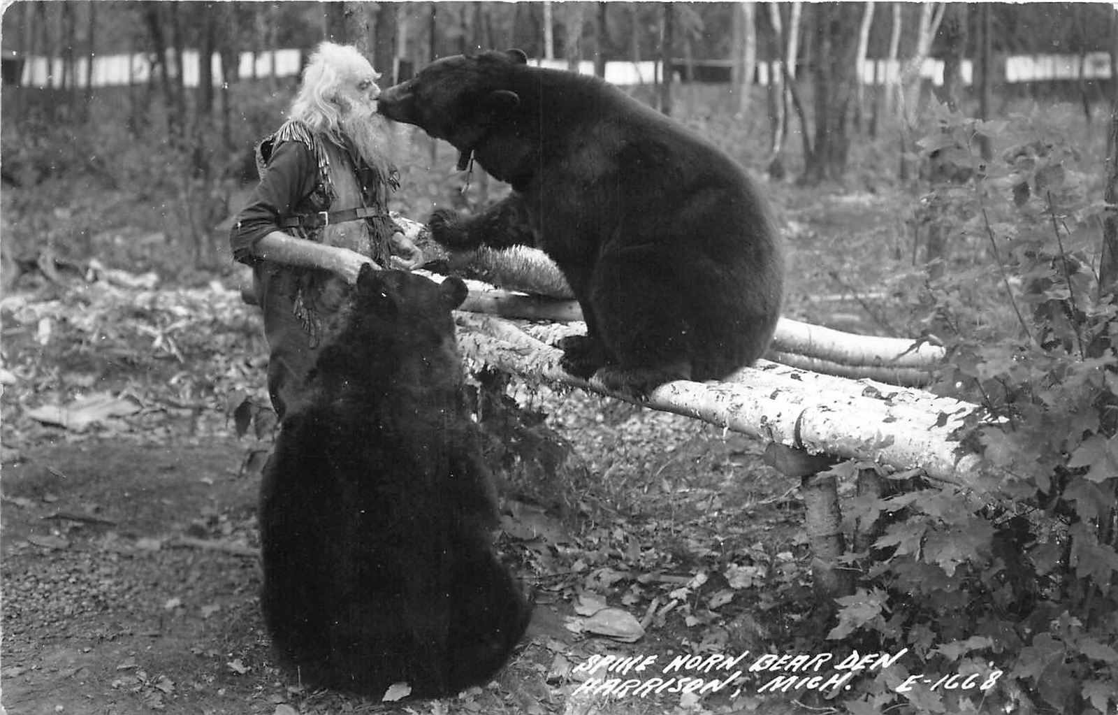H32/ Harrison Michigan RPPC Postcard c40s Spikehorn Black Bear Den Kiss 18 H32/ Harrison Michigan RPPC Postcard c40s Spikehorn Black Bear Den Kiss 18