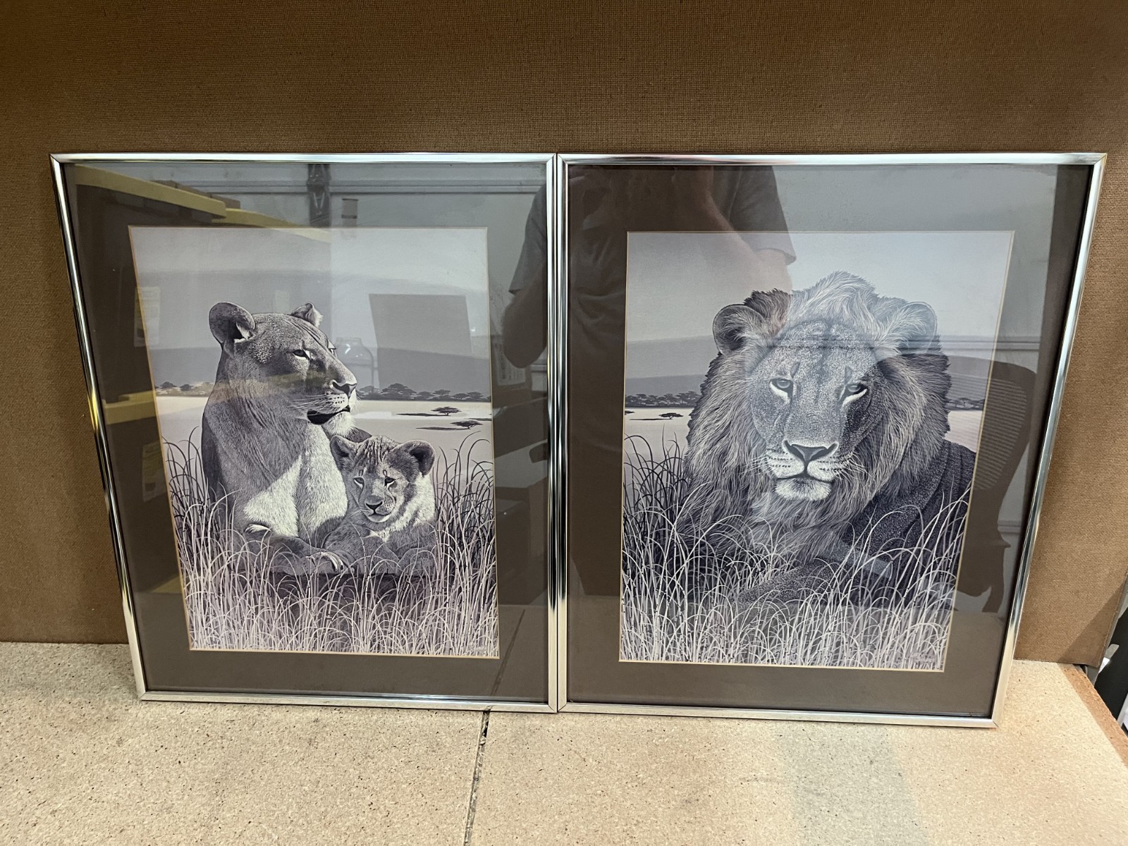 Set Of 2 - Vintage Lion And Cub Framed Print Larry Jacobsen Africa Jungle Set Of 2 - Vintage Lion And Cub Framed Print Larry Jacobsen Africa Jungle