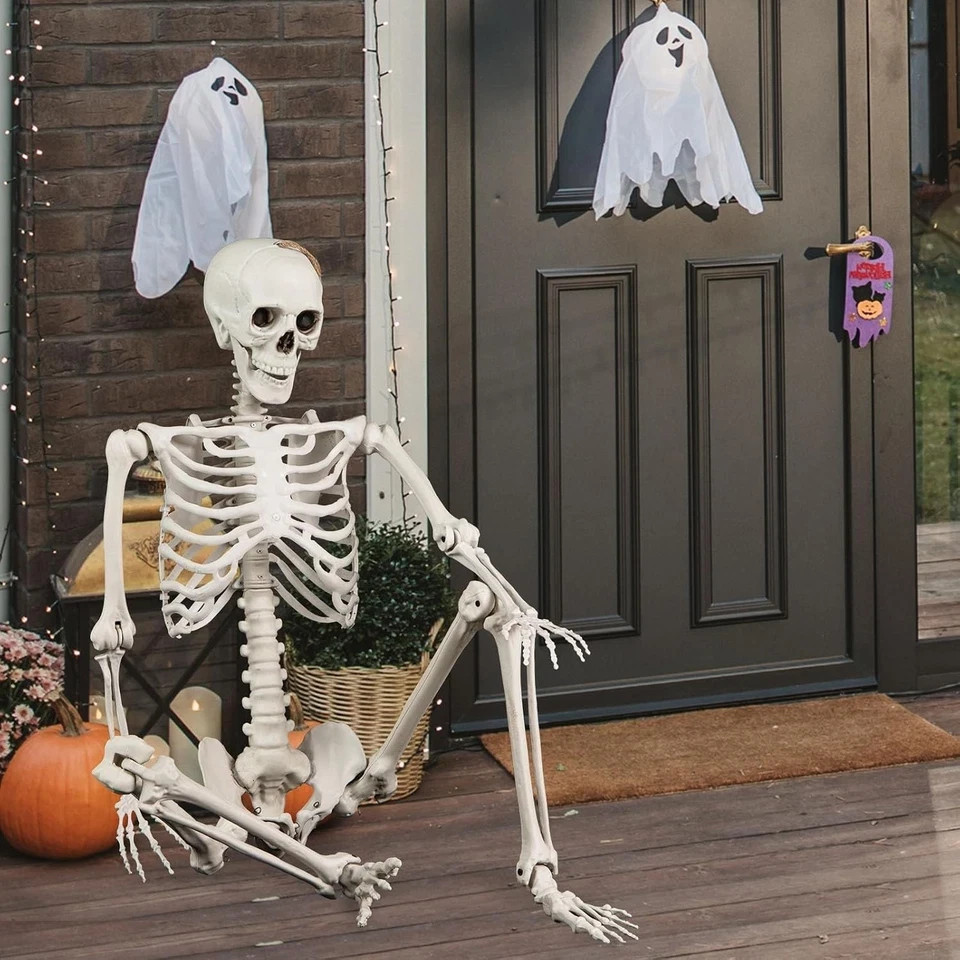 5.4ft Halloween Skeleton Full Body Life Size Posable Skeleton Movable Joints 5.4ft Halloween Skeleton Full Body Life Size Posable Skeleton Movable Joints