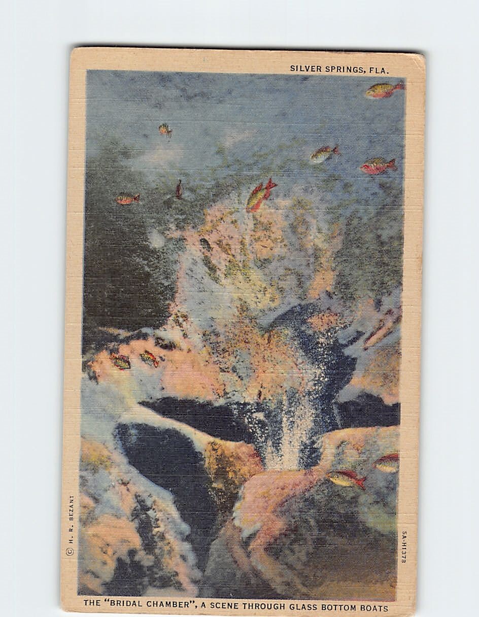 Postcard Bridal Chamber Silver Springs Florida USA North America Postcard Bridal Chamber Silver Springs Florida USA North America