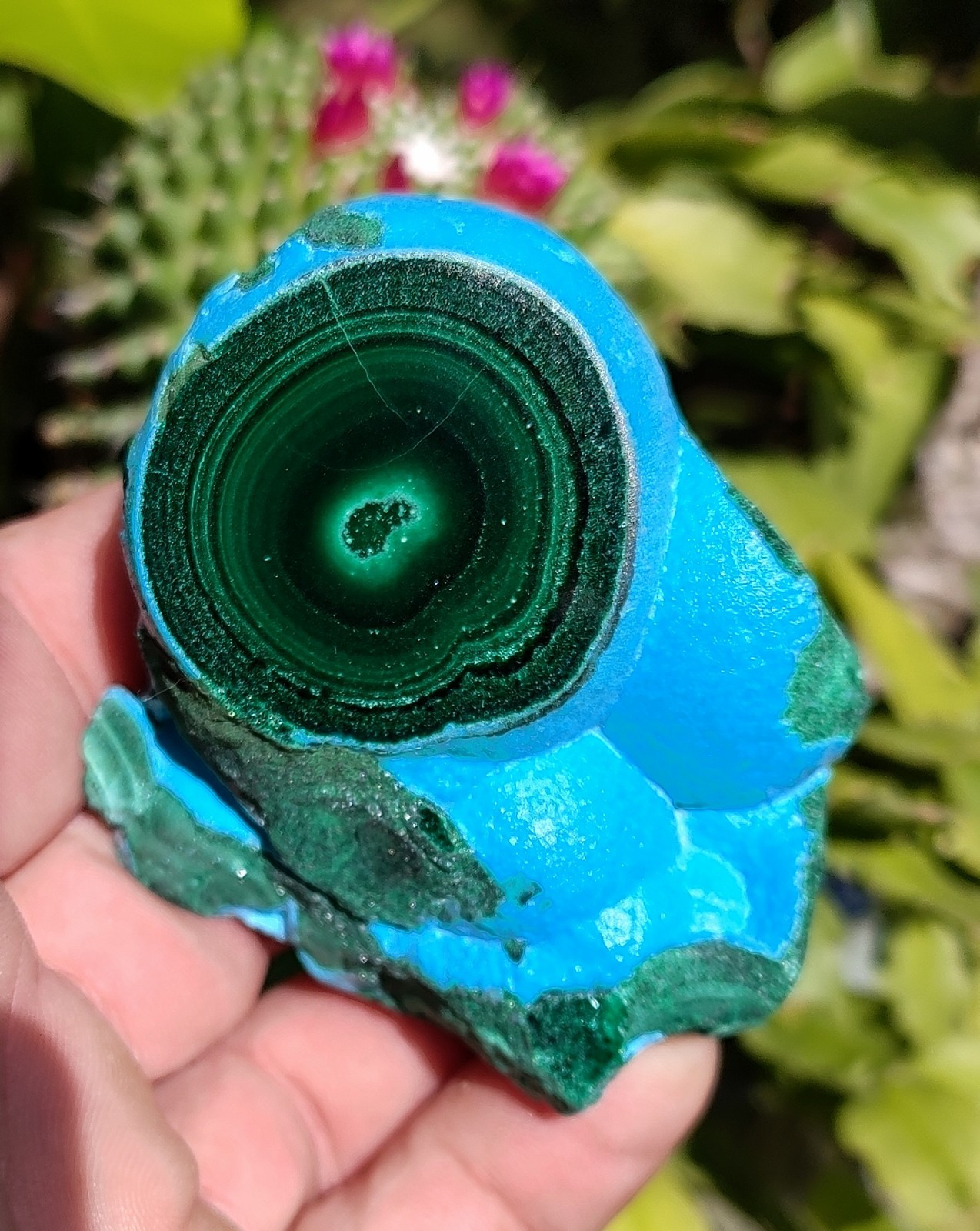 GORGEOUS CHRYSOCOLLA -MALACHITE NATURAL MINERAL, 216G POLISHED SHOW PIECE