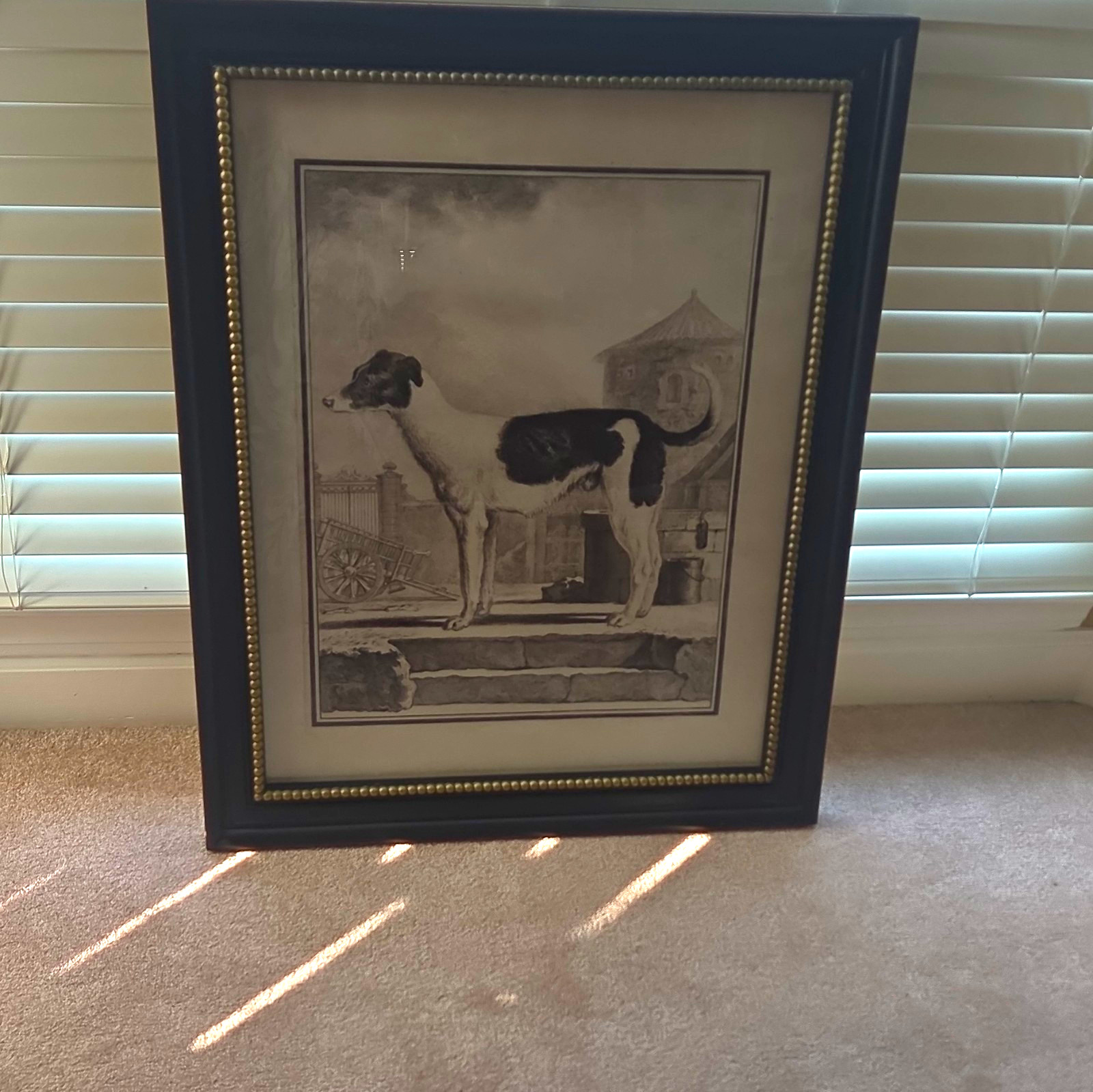 Black & White Greyhound Dog Art Print Portrait Matted & Framed Black & White Greyhound Dog Art Print Portrait Matted & Framed