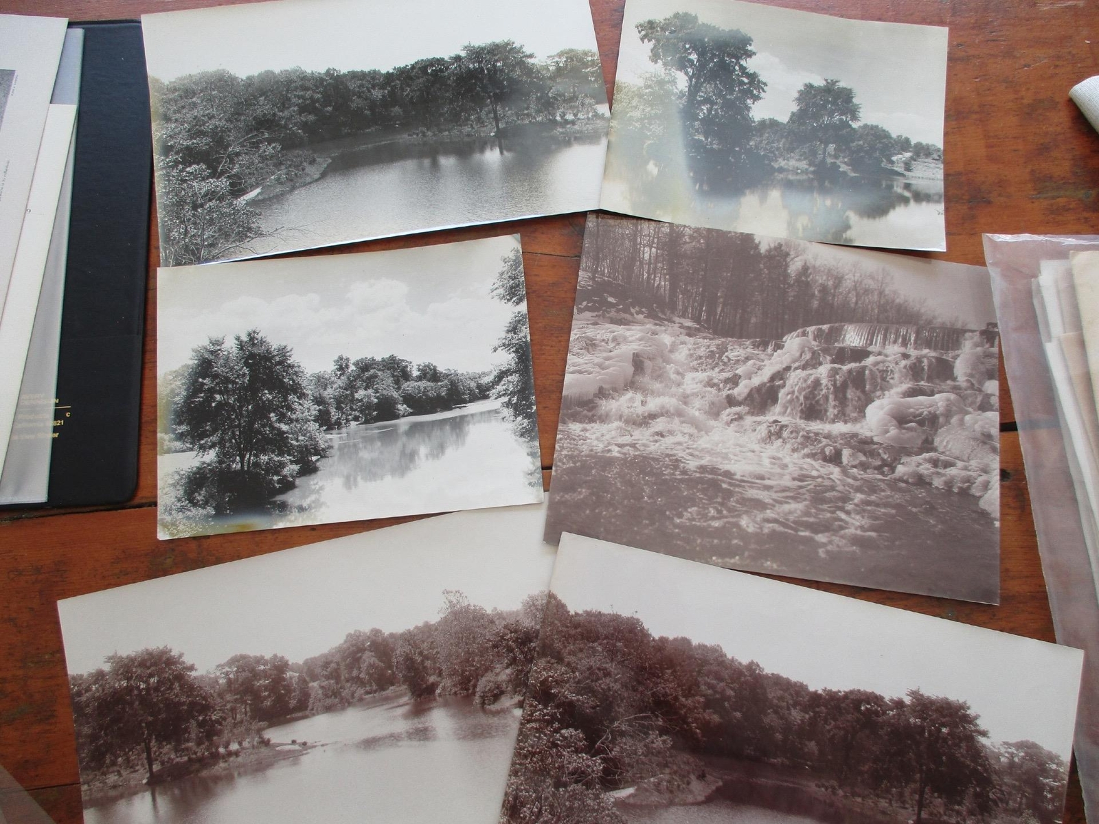 C1908 Albumen photos & prints NY ZOOLOGICAL PARK /rare ticket unused stationery C1908 Albumen photos & prints NY ZOOLOGICAL PARK /rare ticket unused stationery