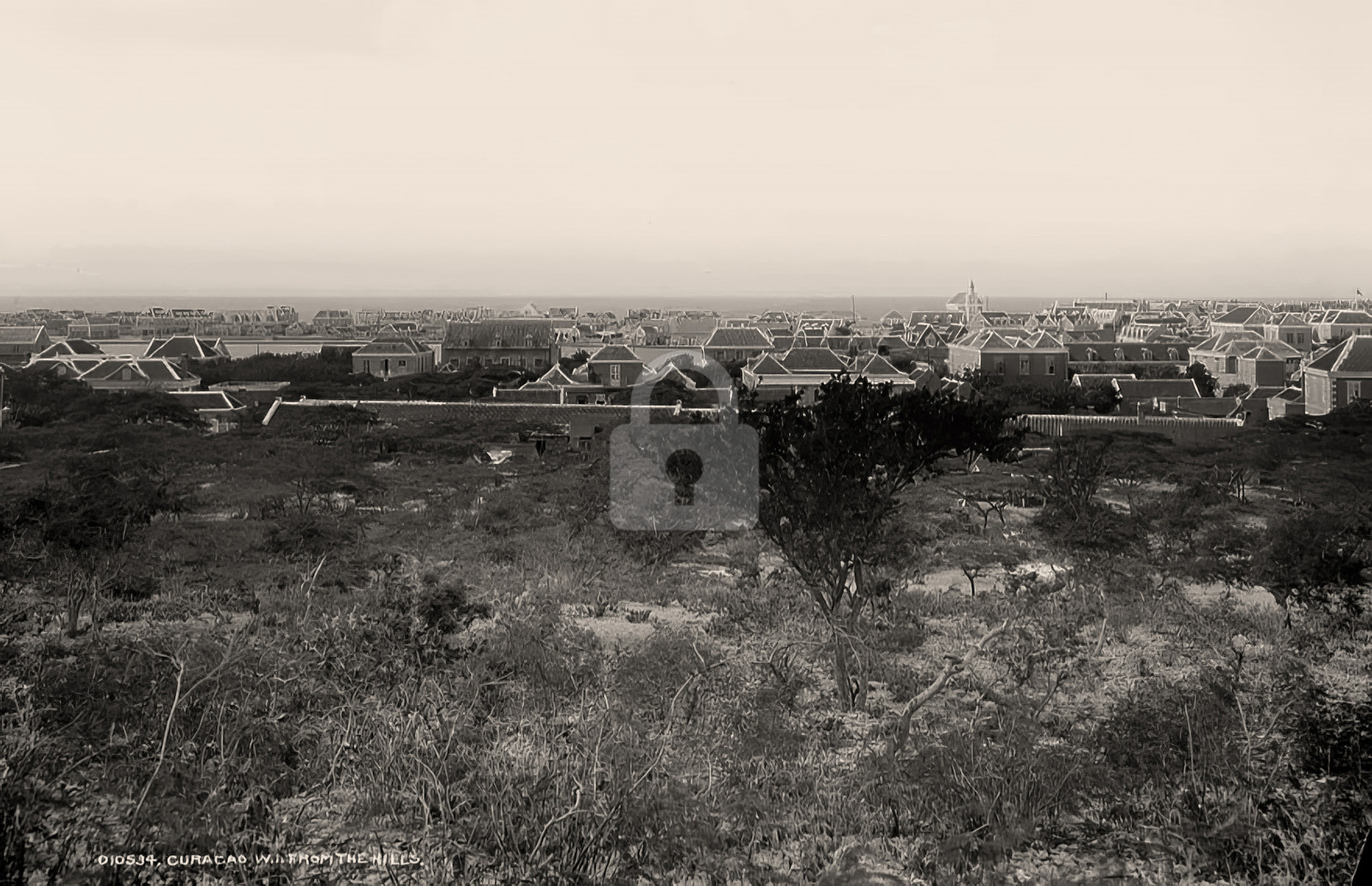 Curacao W.I. from hills c1890s RPPC Photo Postcard COPY