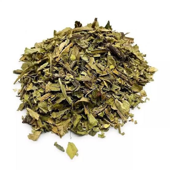 DEER TONGUE Dried Herb 1 OUNCE Organic Botanical Native American Herb DEER TONGUE Dried Herb 1 OUNCE Organic Botanical Native American Herb