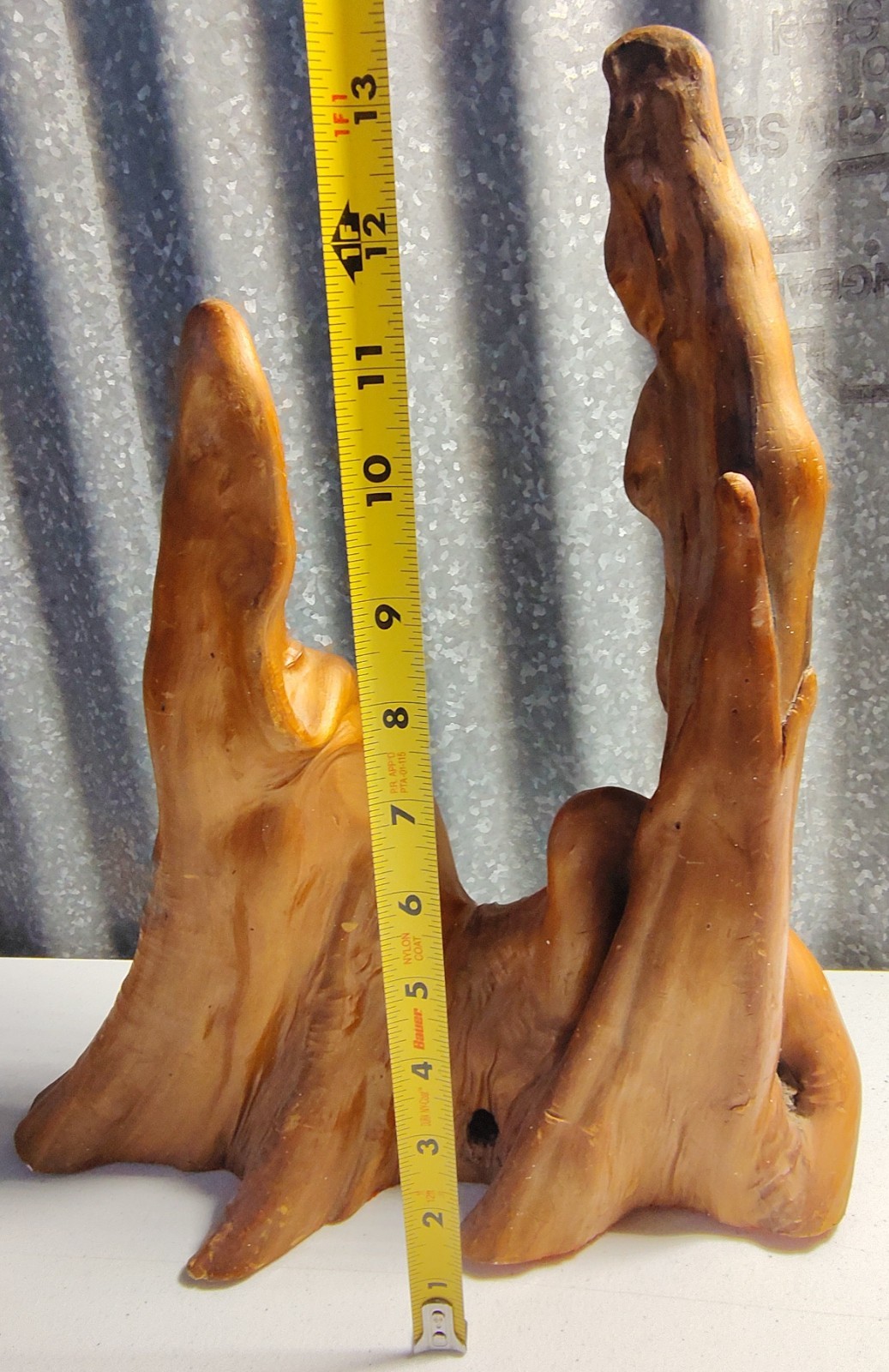 Vintage Cypress "KNEE" ~ Wood Tree Root Large