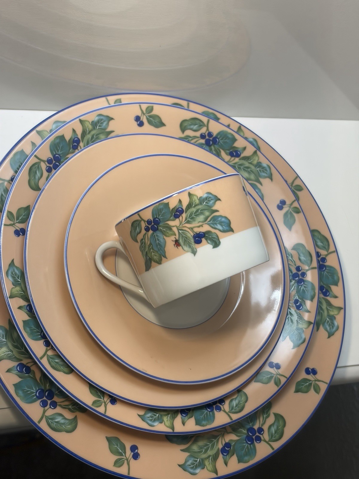 Vintage Limoges 5 Piece Dining Set For 6 Vintage Limoges 5 Piece Dining Set For 6