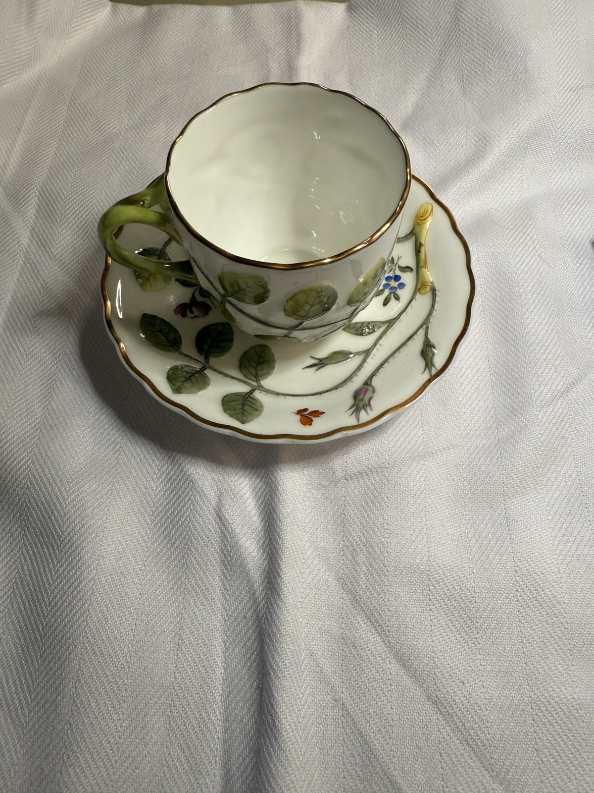 Royal Worcester “The Blind Earl” Cup & Saucer Set – Fine Bone China – England