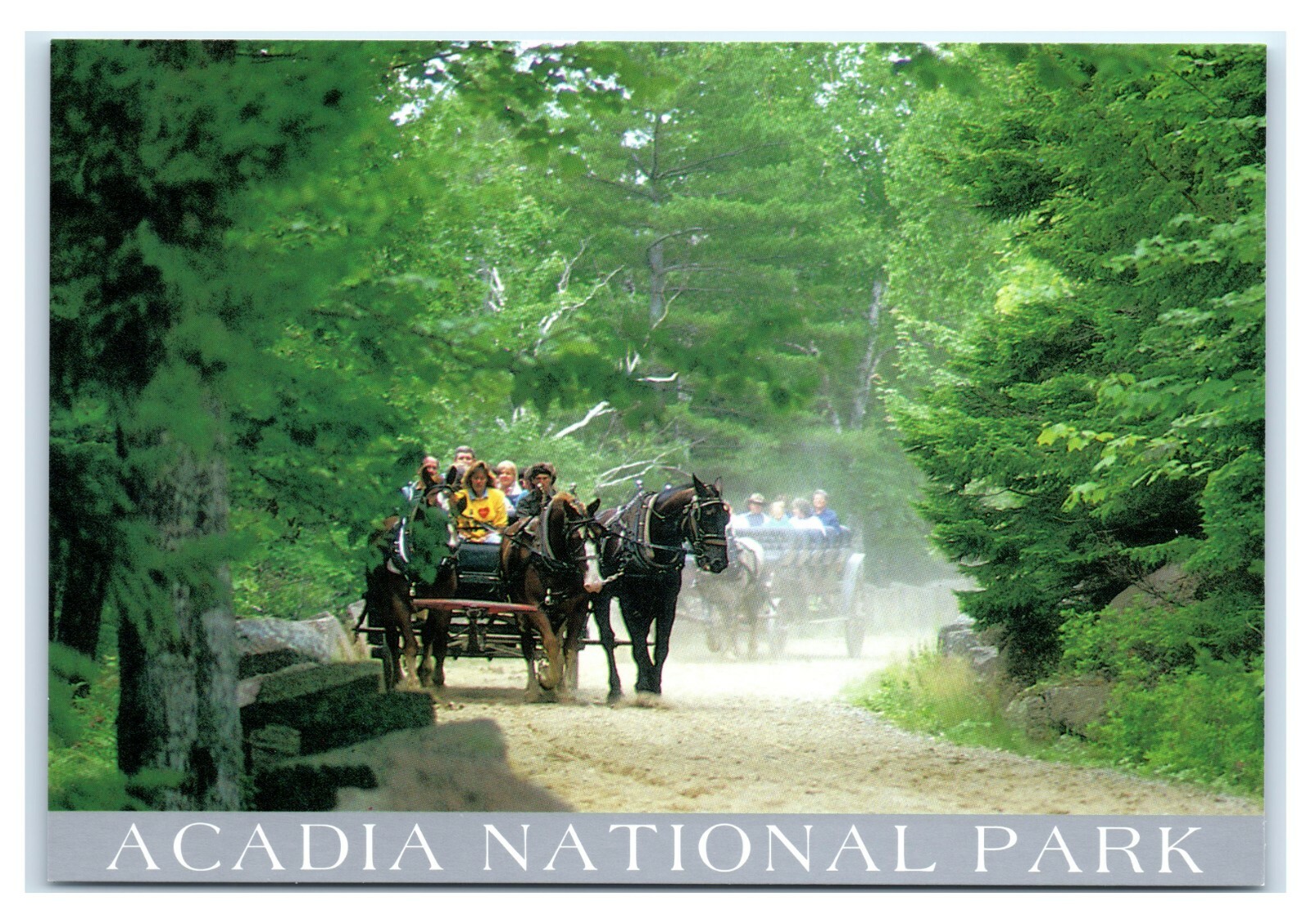Postcard Traditional Carriage Ride near Jordan Pond, Acadia Maine K10