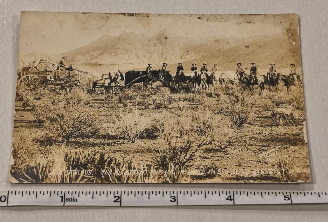 1910s RPPC Photo J A Stroud Moving Cattle Herd Big Bend District Texas Cowboys