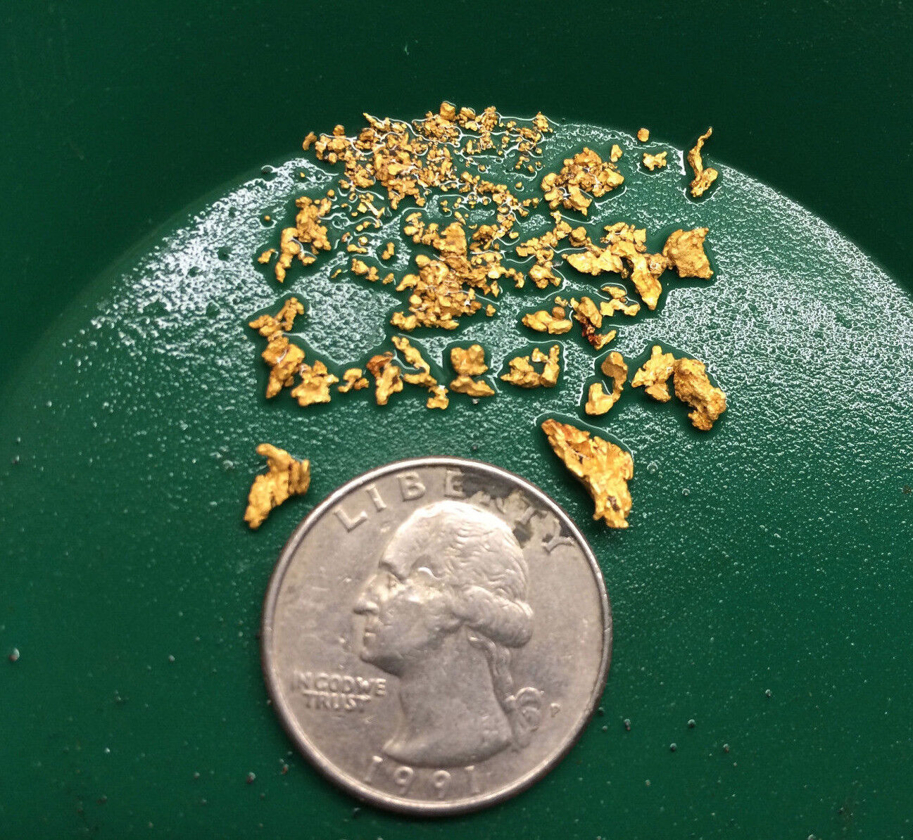 20 lb Gold Paydirt Unsearched and Gold Added Panning Flake Nugget