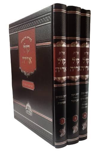 שו"ת קול אריה מהדורה מושלמת ג' כרכים הערות ביאורים תמציות מראי מקומות מקיפים
