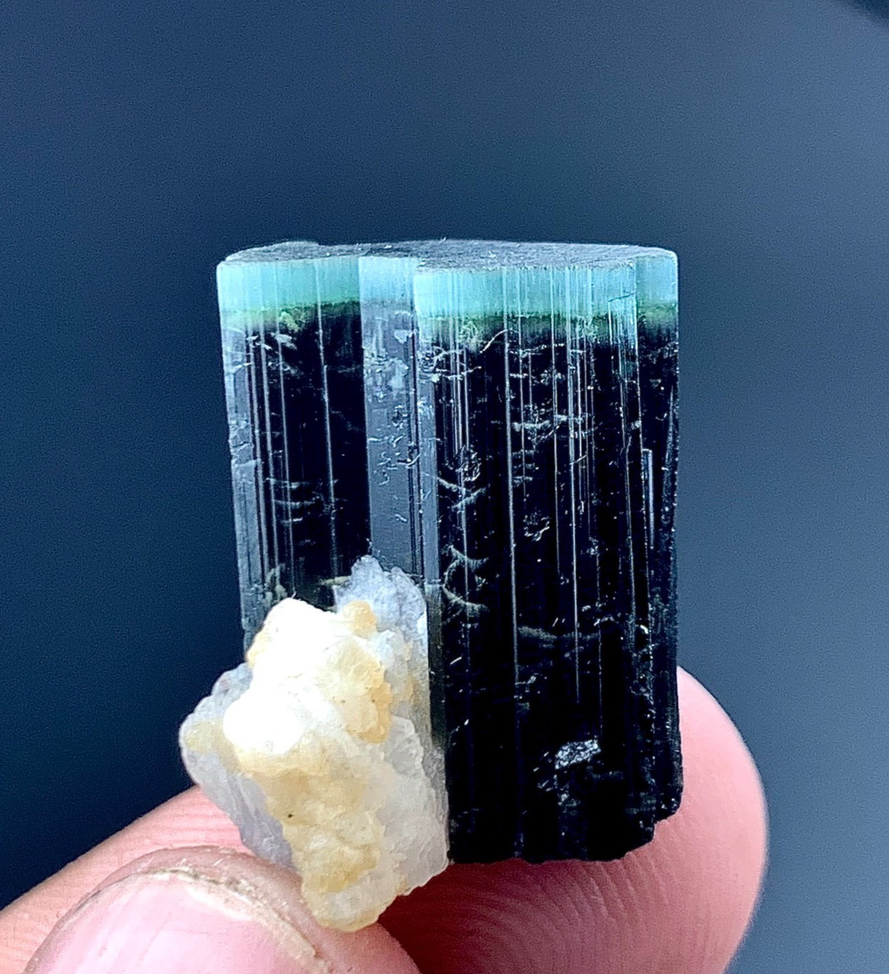 29 Carat Blue Cap and Green Cap Tourmaline Crystal Specimen From Afghanistan