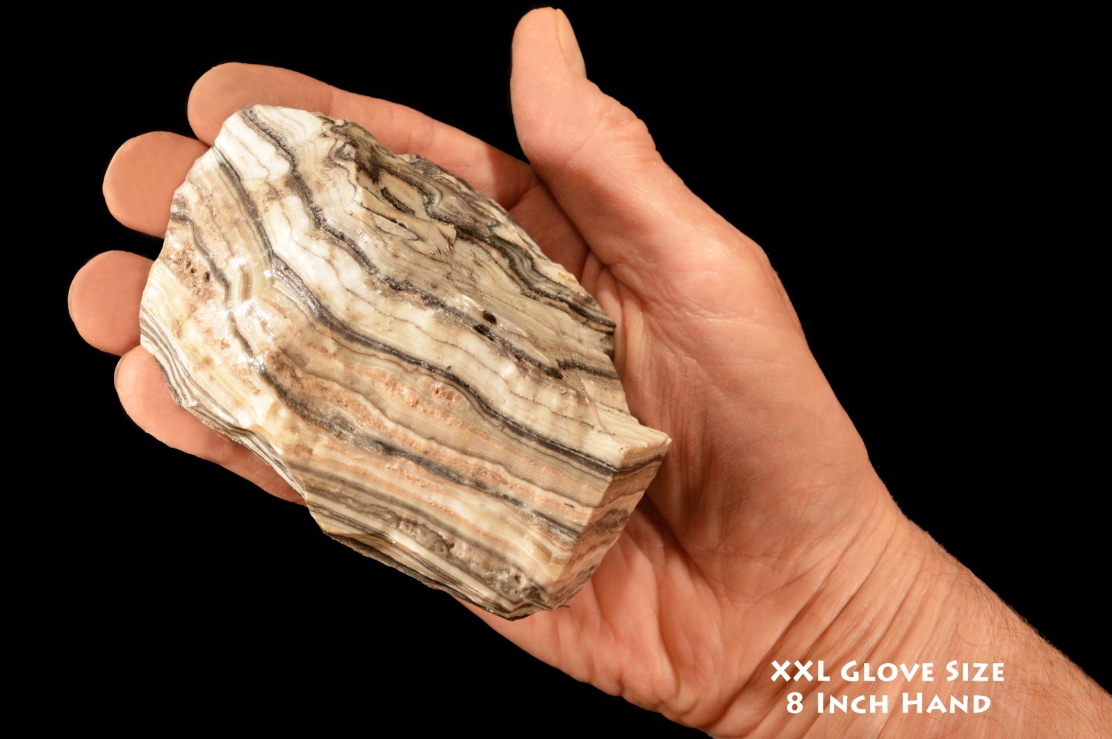 ZEBRA ONYX 4" 2 Lb Rough Rock Mineral Raw Root Chakra Healing Crystal Stone ZEBRA ONYX 4" 2 Lb Rough Rock Mineral Raw Root Chakra Healing Crystal Stone