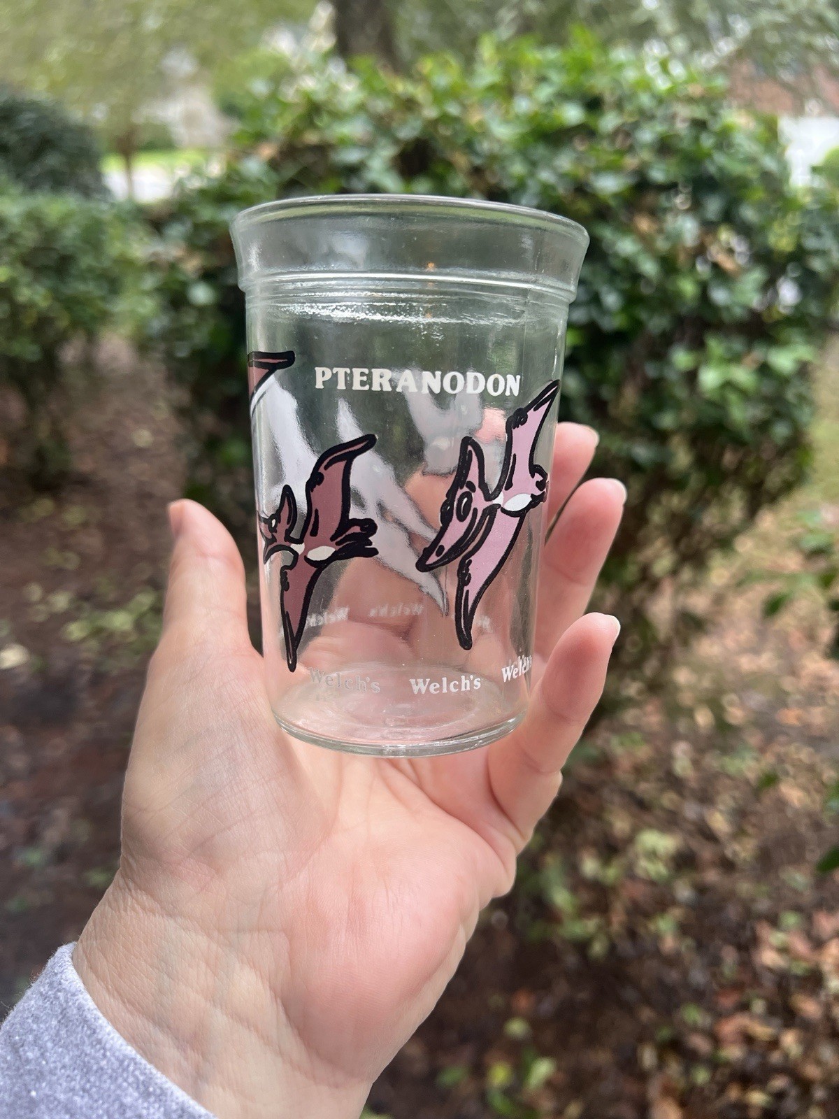 Vintage 1980’s Welch Pteranodon Jelly Jar Drinking Glass by Anchor Hocking Vintage 1980’s Welch Pteranodon Jelly Jar Drinking Glass by Anchor Hocking