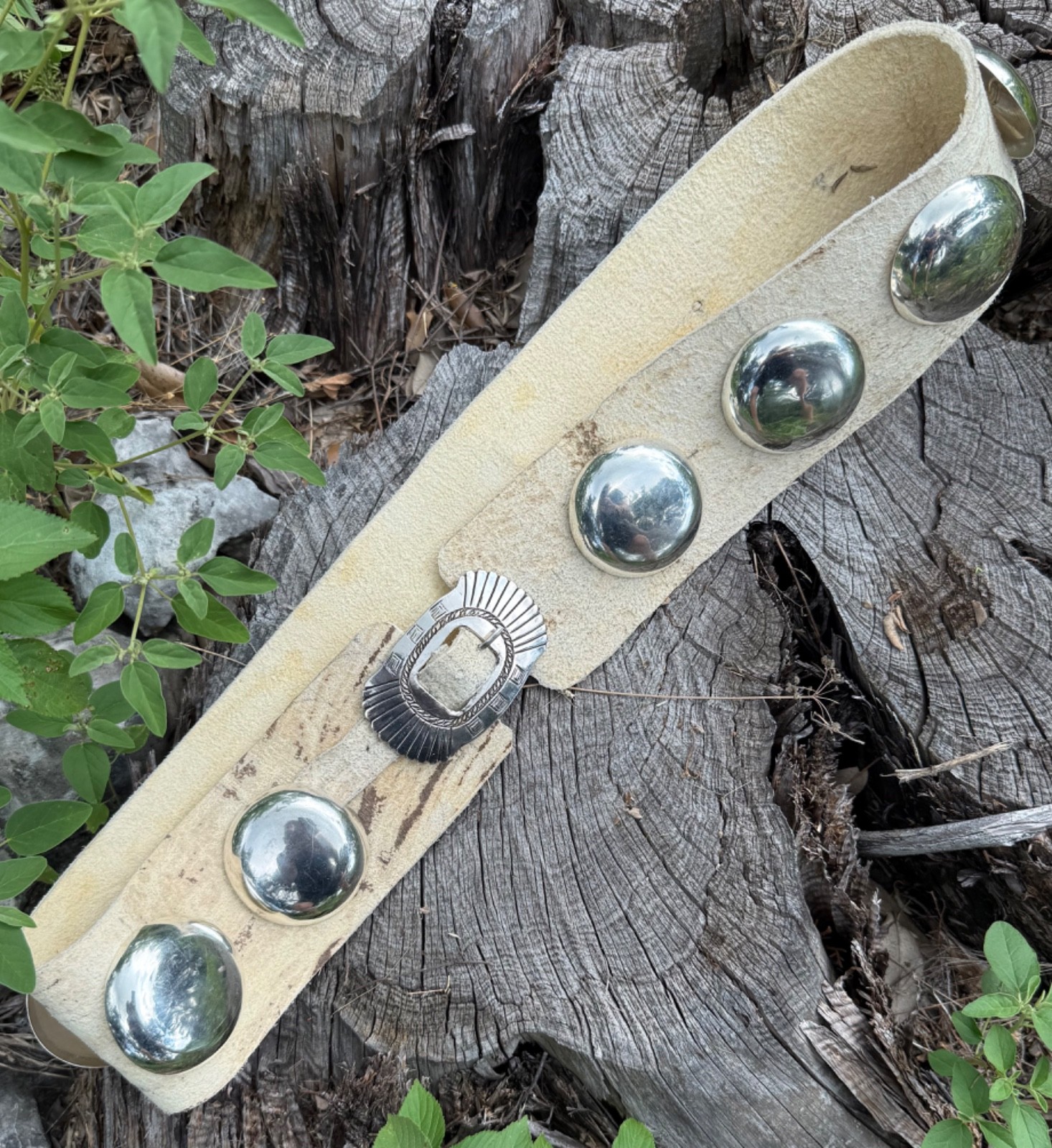 1870 Northern Plains Style Nickel Silver Concha Belt Brain Tan BUF Adjust Size? 1870 Northern Plains Style Nickel Silver Concha Belt Brain Tan BUF Adjust Size?