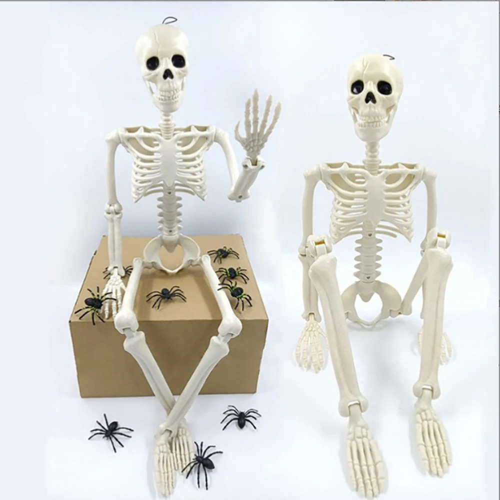 Posable Human Life-Size Halloween Skeleton Decoration Posable Human Life-Size Halloween Skeleton Decoration