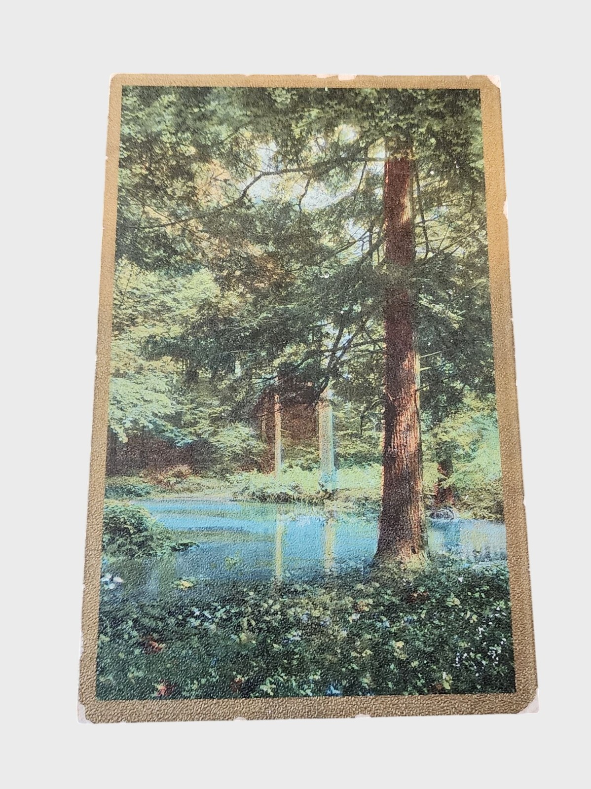 Antique 1910 Mailed Postcard With Forest Scene & Handwritten Note Antique 1910 Mailed Postcard With Forest Scene & Handwritten Note