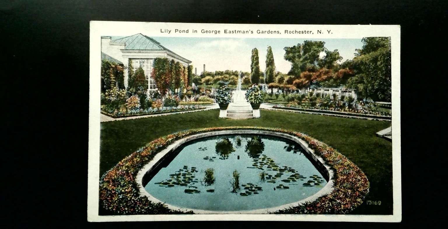 Vintage Lily Pond George Eastman Gardens Rochester NY Postcard 1930