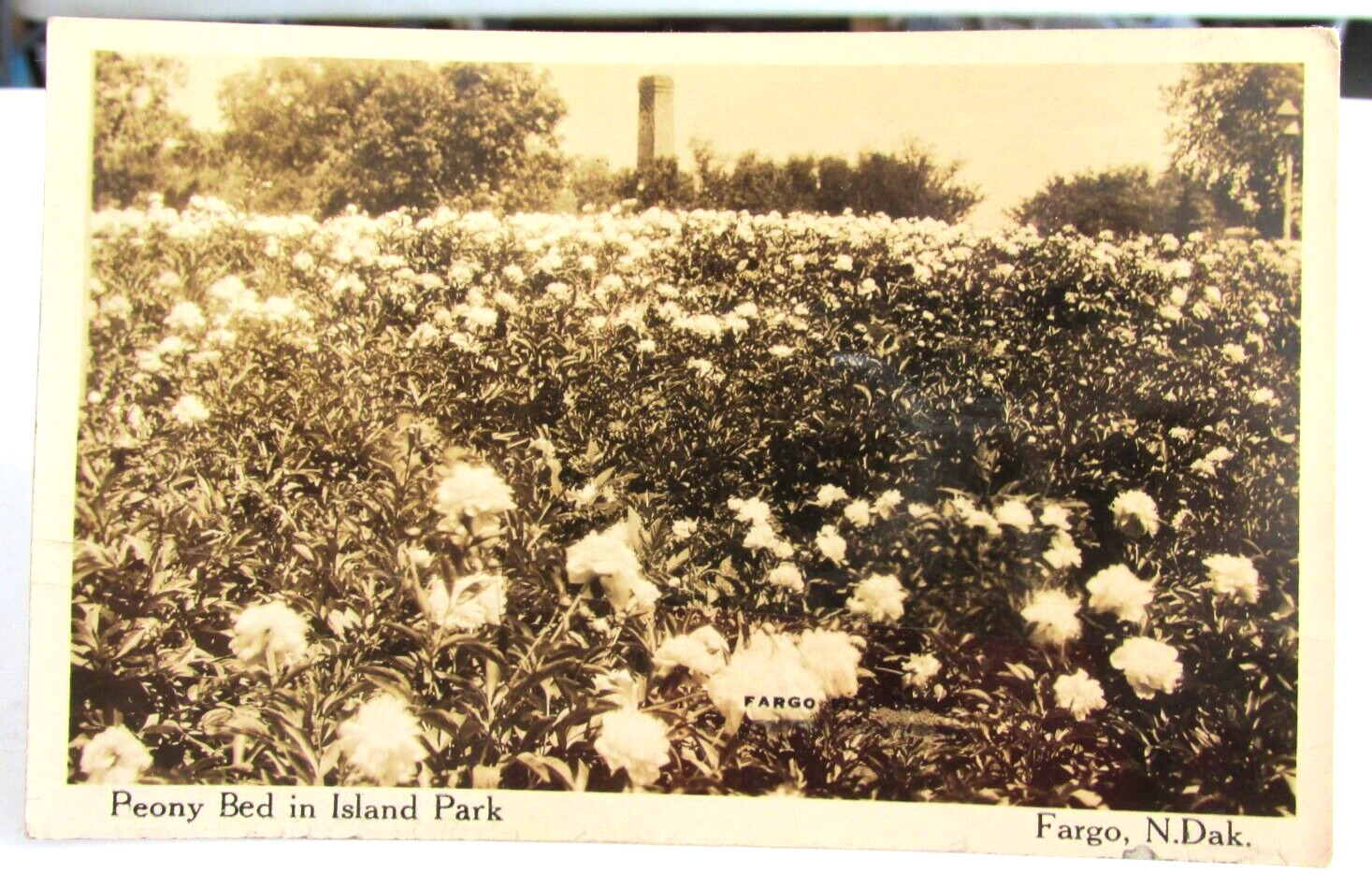 1927 FARGO NORTH DAKOTA ND., RPPC Real Photo Postcard Peony Bed in Island Park