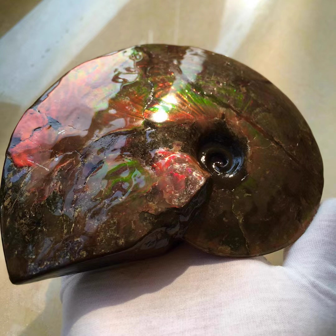 664g Natural rainbow ammolite fossil mineral specimen Crystal healing gift 664g Natural rainbow ammolite fossil mineral specimen Crystal healing gift