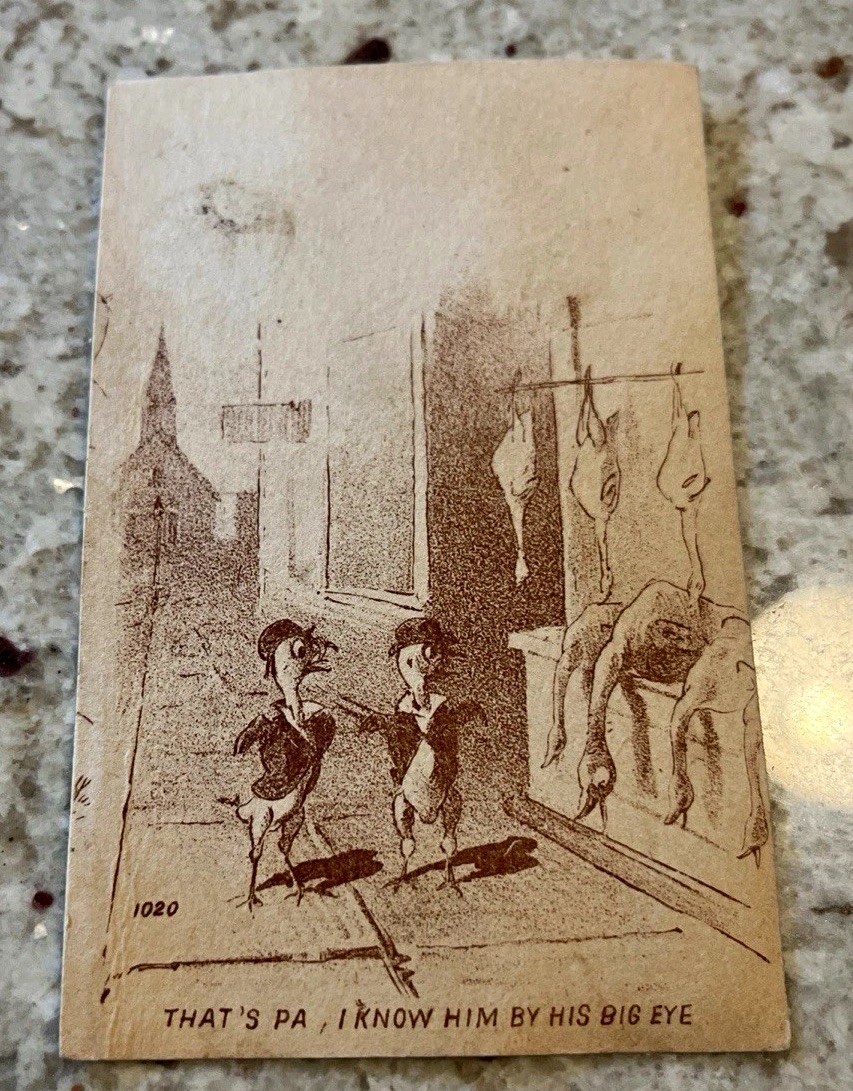 Antique Victorian Trade Card 1880s Anthropomorphic Comic Birds O. Dunham Shirts