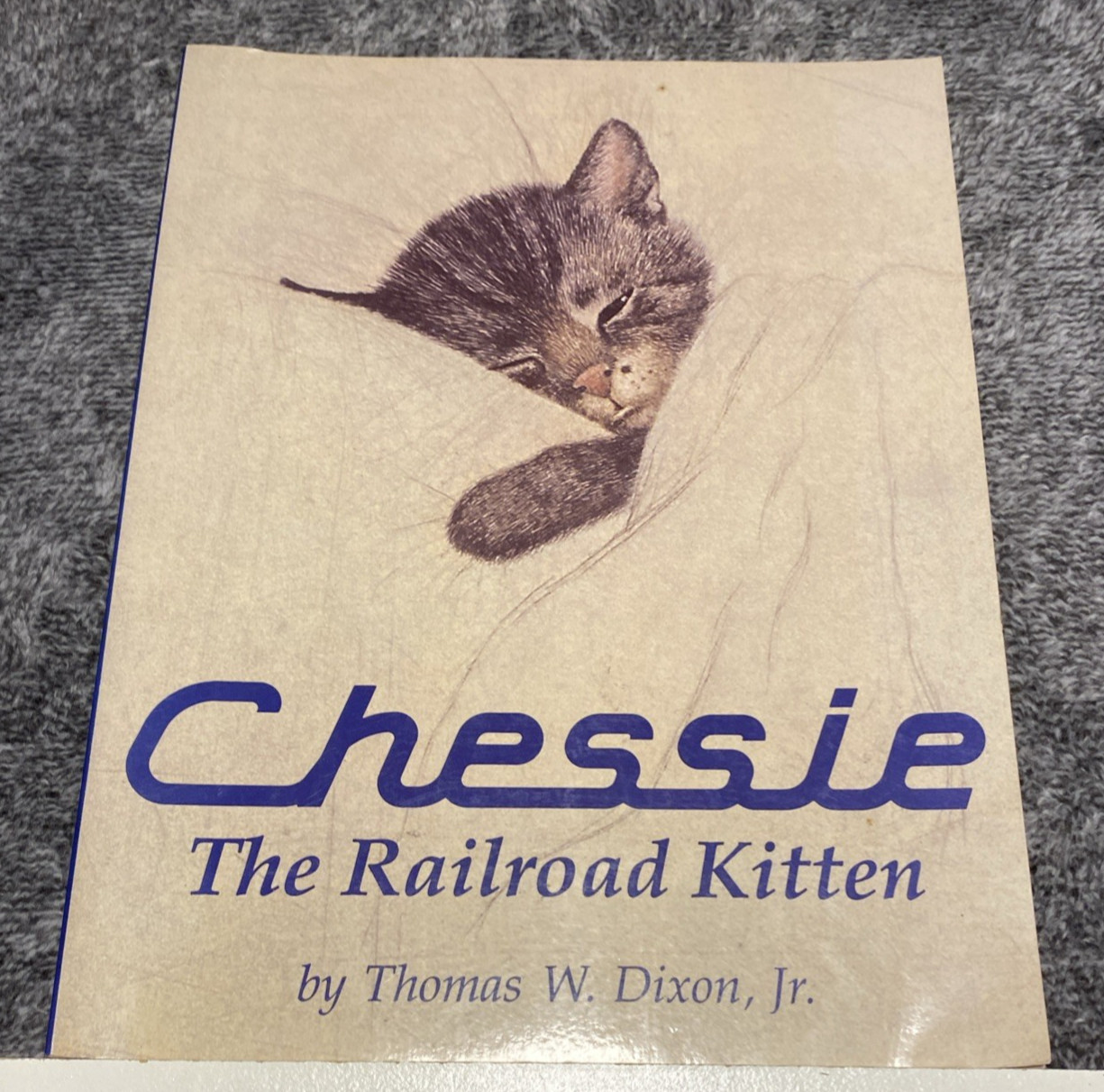 Cheesie The Railroad Kitten Vintage 1900s Children’s Book Cat & Train Collectibl