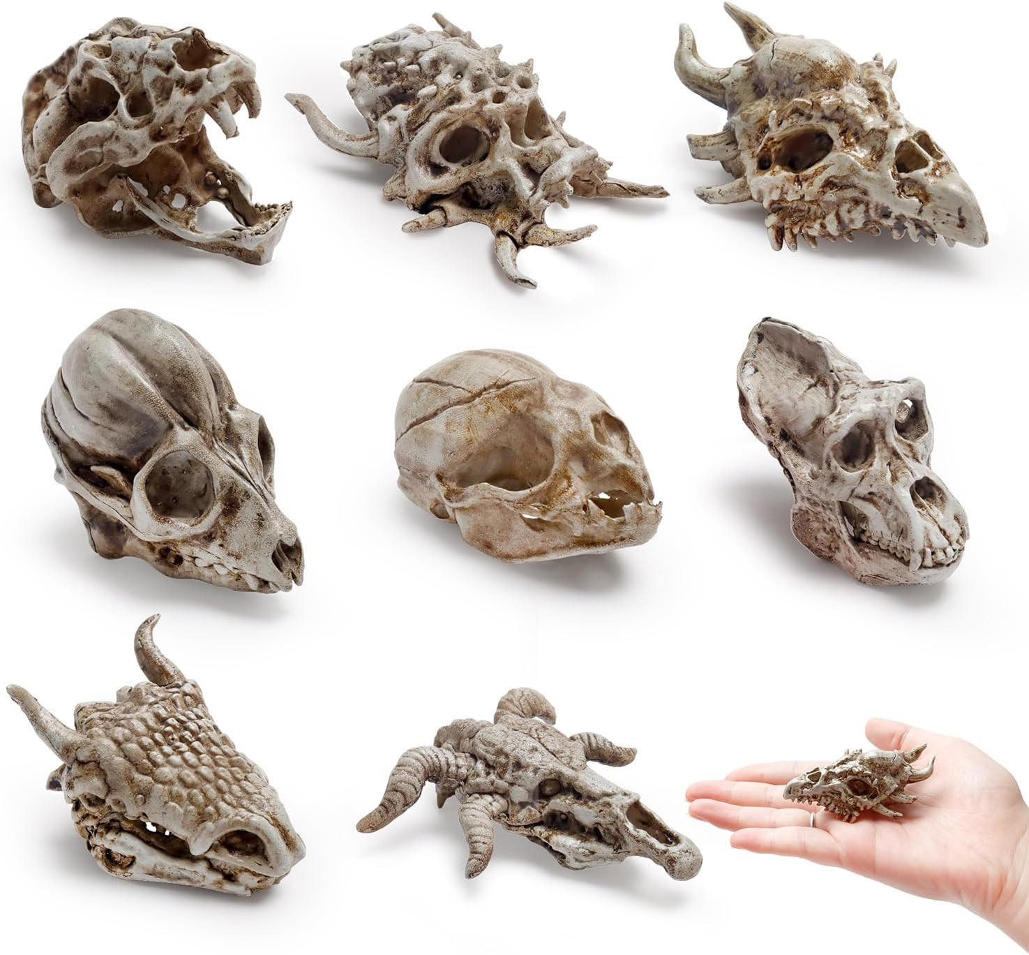 8 Pcs 2.3 Inch Mini Animal Skulls Mini Skulls for Halloween | Resin Animal Skull