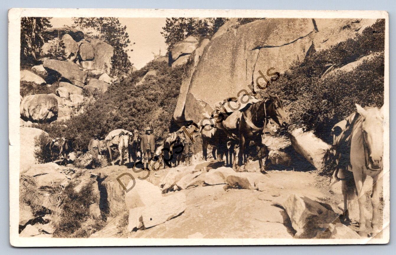 K67/ Tuolumne Yosemite National Park California Postcard RPPC c10 Pack Horse 257