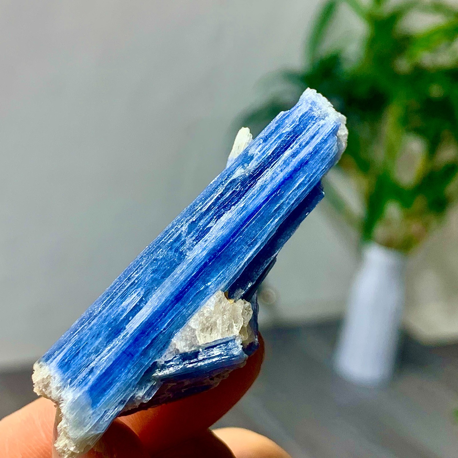 23G Rare Natural beautiful Blue KYANITE with Quartz Crystal Specimen Rough 23G Rare Natural beautiful Blue KYANITE with Quartz Crystal Specimen Rough