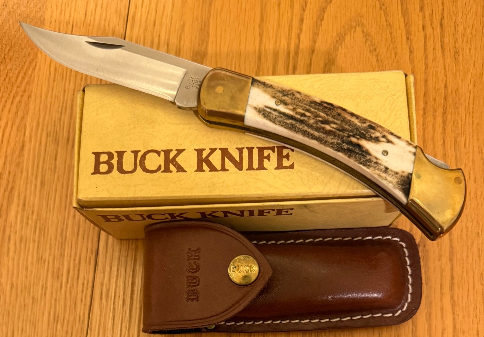 STUNNING VINTAGE BUCK STAG 110 KNIFE NEVER USED IN BOX N5 STUNNING VINTAGE BUCK STAG 110 KNIFE NEVER USED IN BOX N5