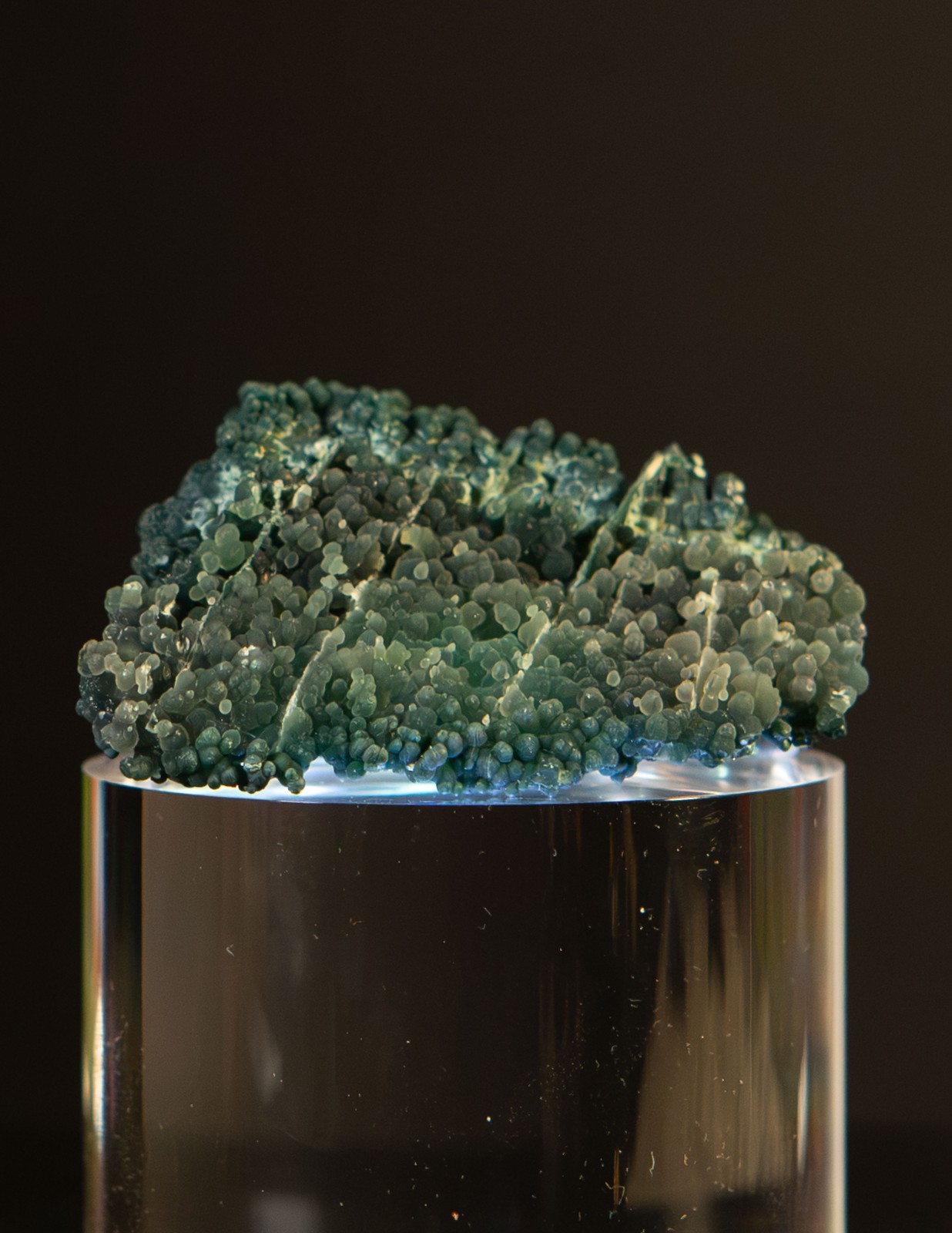 Rare Dark Green Grape Agate Raw Specimen Matrix 2" Botryoidal Chalcedony Crystal