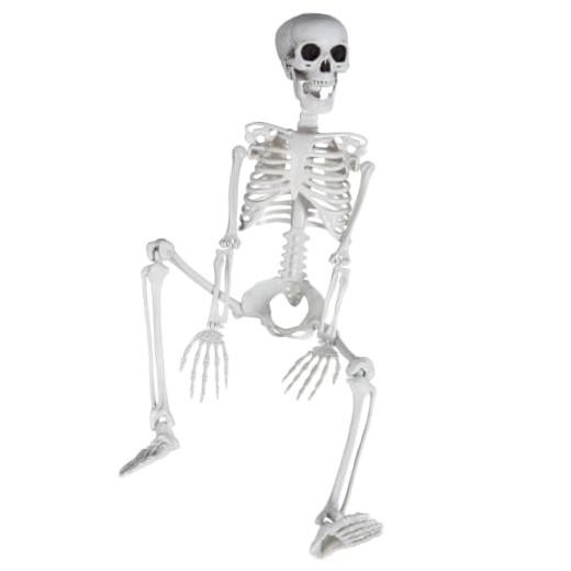 3ft/36inch Skeleton for Halloween, Realistic Skeleton with Posable Joints 1 3ft/36inch Skeleton for Halloween, Realistic Skeleton with Posable Joints 1