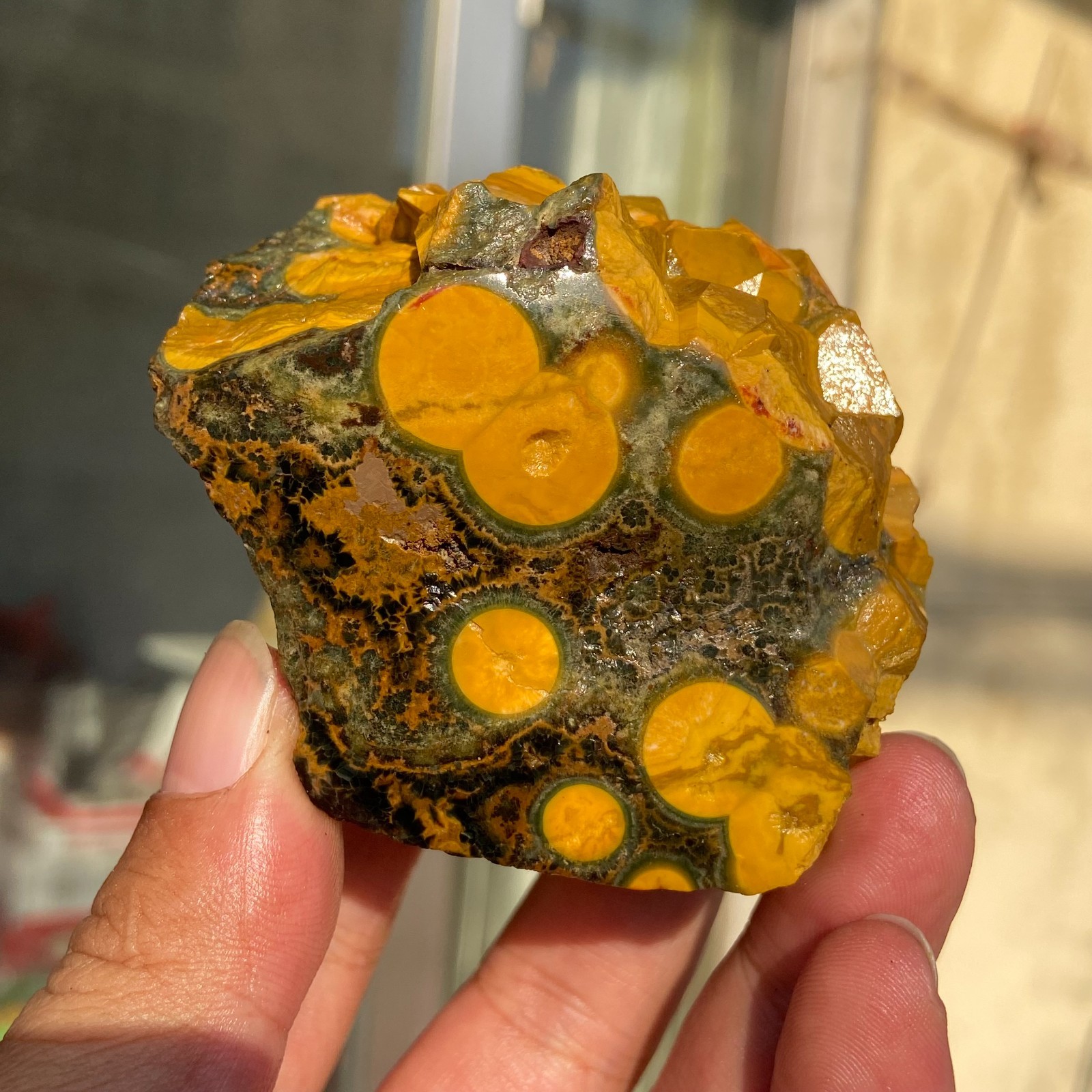 206g Rare Colourful Natural Ocean Jasper Rough Crystal Mineral Specimen Healing 206g Rare Colourful Natural Ocean Jasper Rough Crystal Mineral Specimen Healing
