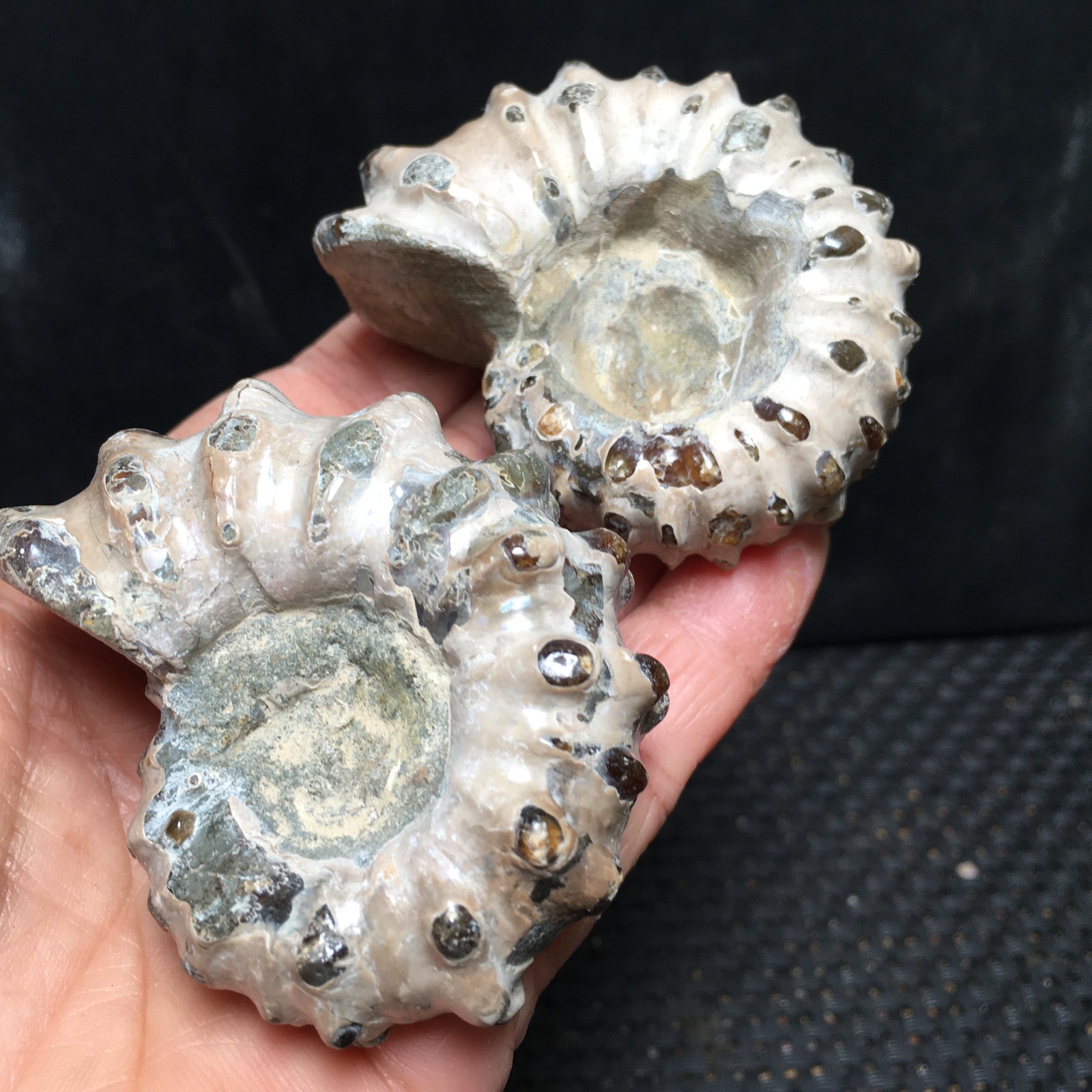 168g 2pc Natural Stone sculptor decoration specimens of Madagascar fb1869 168g 2pc Natural Stone sculptor decoration specimens of Madagascar fb1869