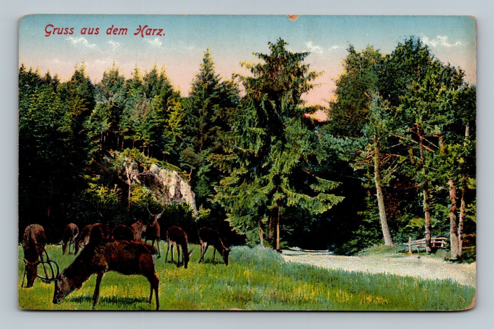 Gruss aus dem Harz Germany Postcard Deer Forest Louis Glaser Leipzig c.1910 Gruss aus dem Harz Germany Postcard Deer Forest Louis Glaser Leipzig c.1910