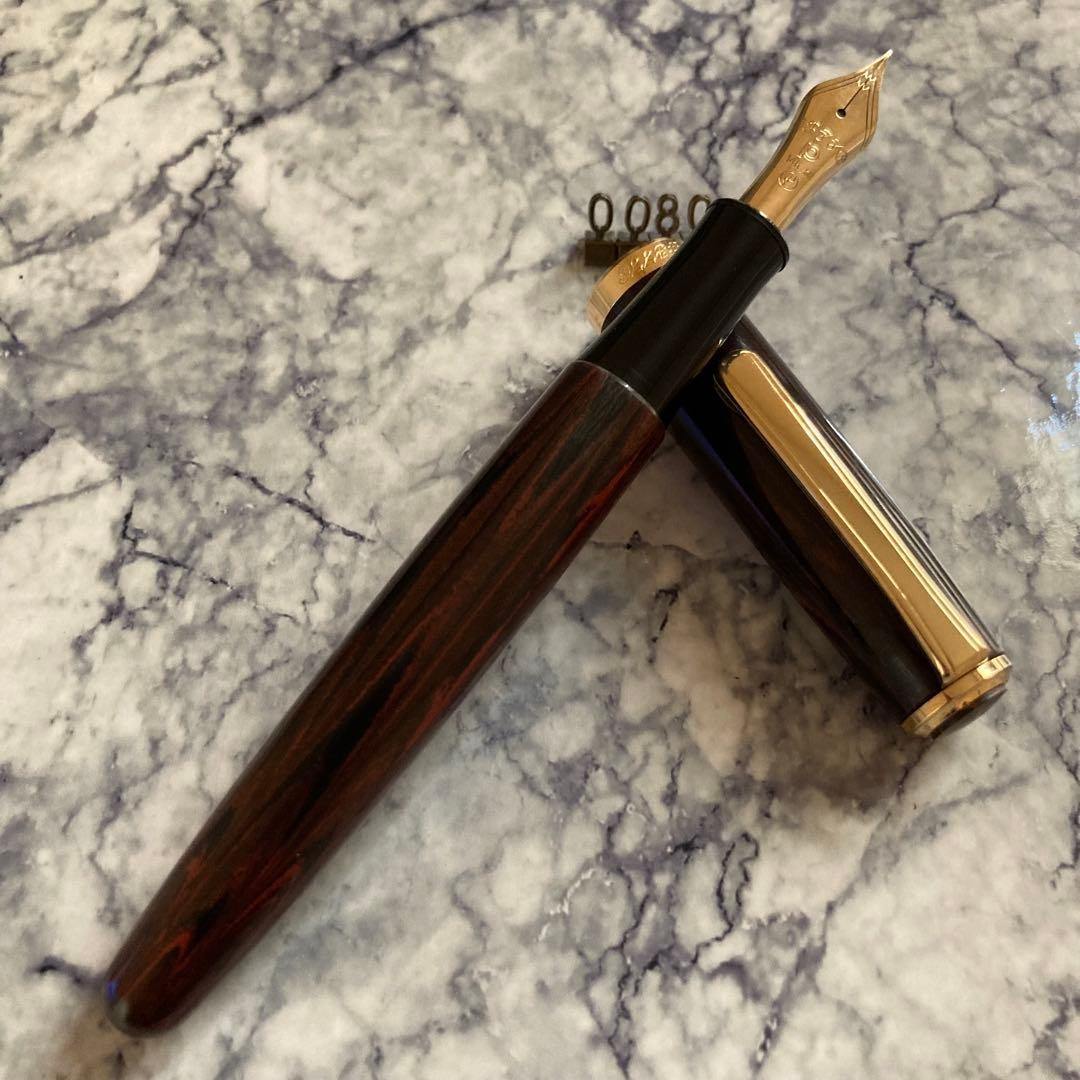 Platinum #3776 Vintage Fountain Pen 14K Fine F Marble Ebonite Overhauled Long