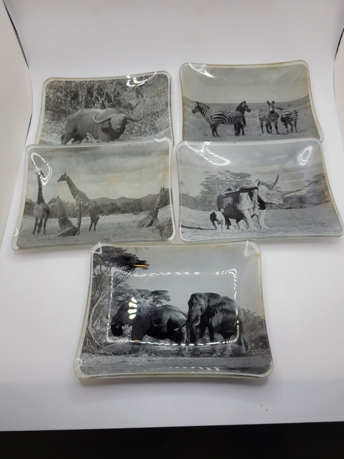 Antique African Safari Glass Trinket Dishes Black And White 5\