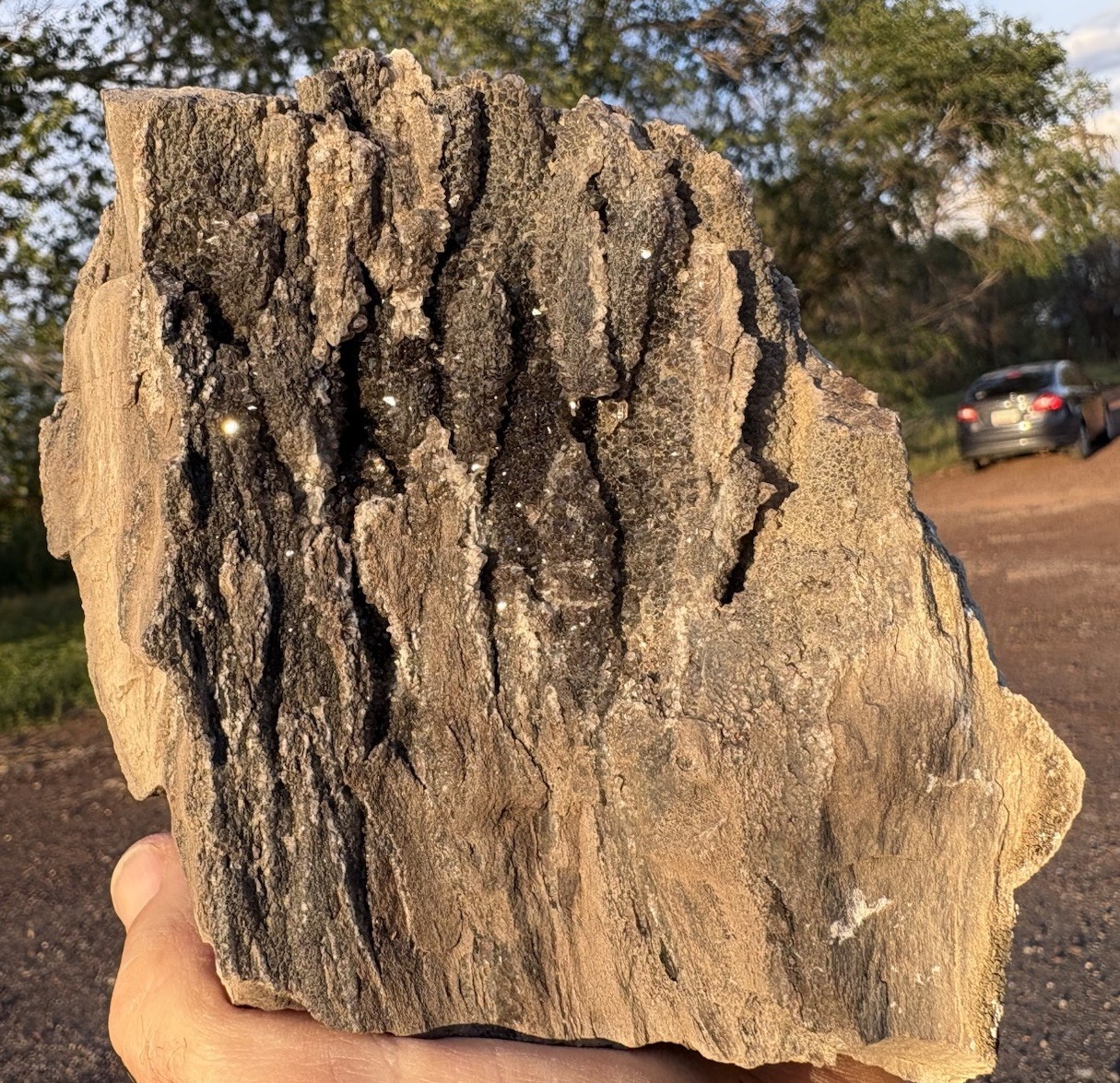 ☘️RR⛏️: Sparkly Dark Smoky Quartz From Fire Layer AZ. Petrified Wood 2 Lb. ☘️RR⛏️: Sparkly Dark Smoky Quartz From Fire Layer AZ. Petrified Wood 2 Lb.